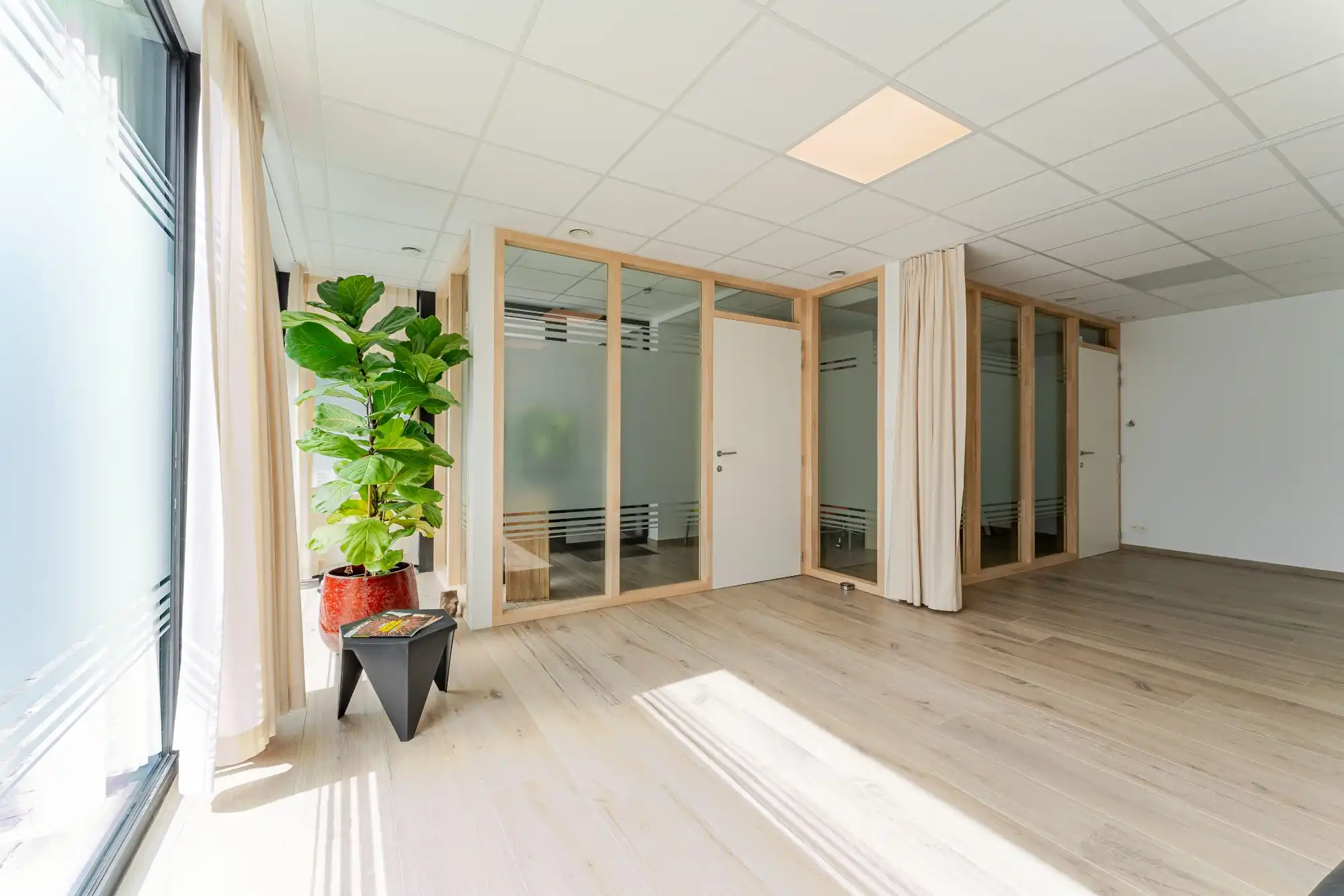 Groot (140m²) gelijkvloers appartement met praktijkruimte, 2 (mog. 3) slaapkamers en ruim terras/koer foto 7