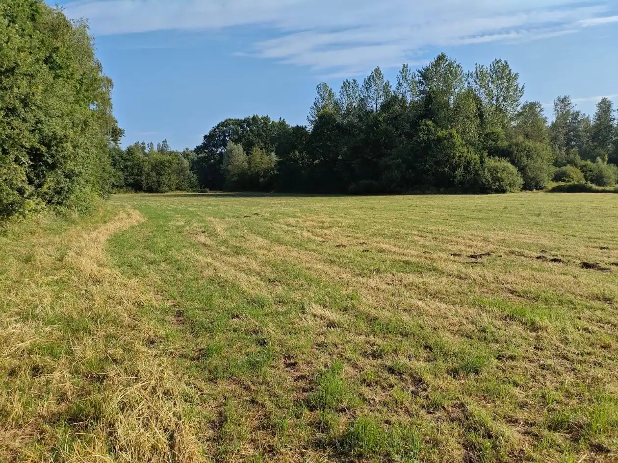 Vrije blok landbouwgrond te koop in Holsbeek foto 7
