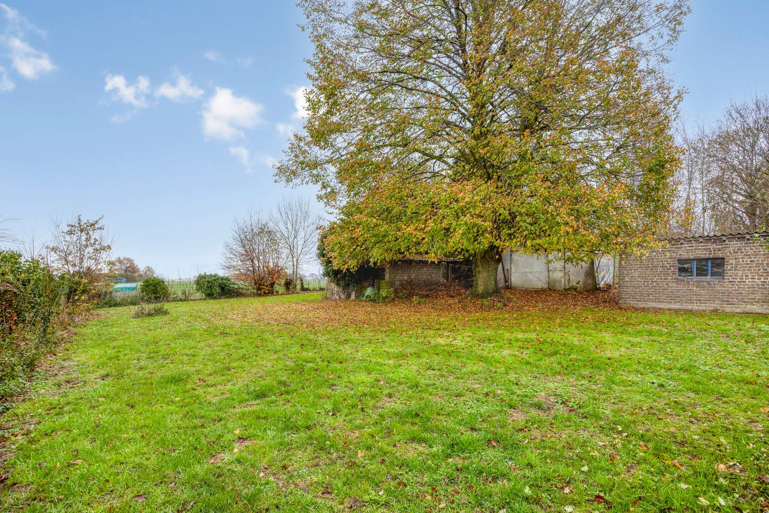 IDYLLISCH GELEGEN WONING TE BEKKEVOORT - RUST EN RUIMTE AAN HET KONINGSBOS foto 16
