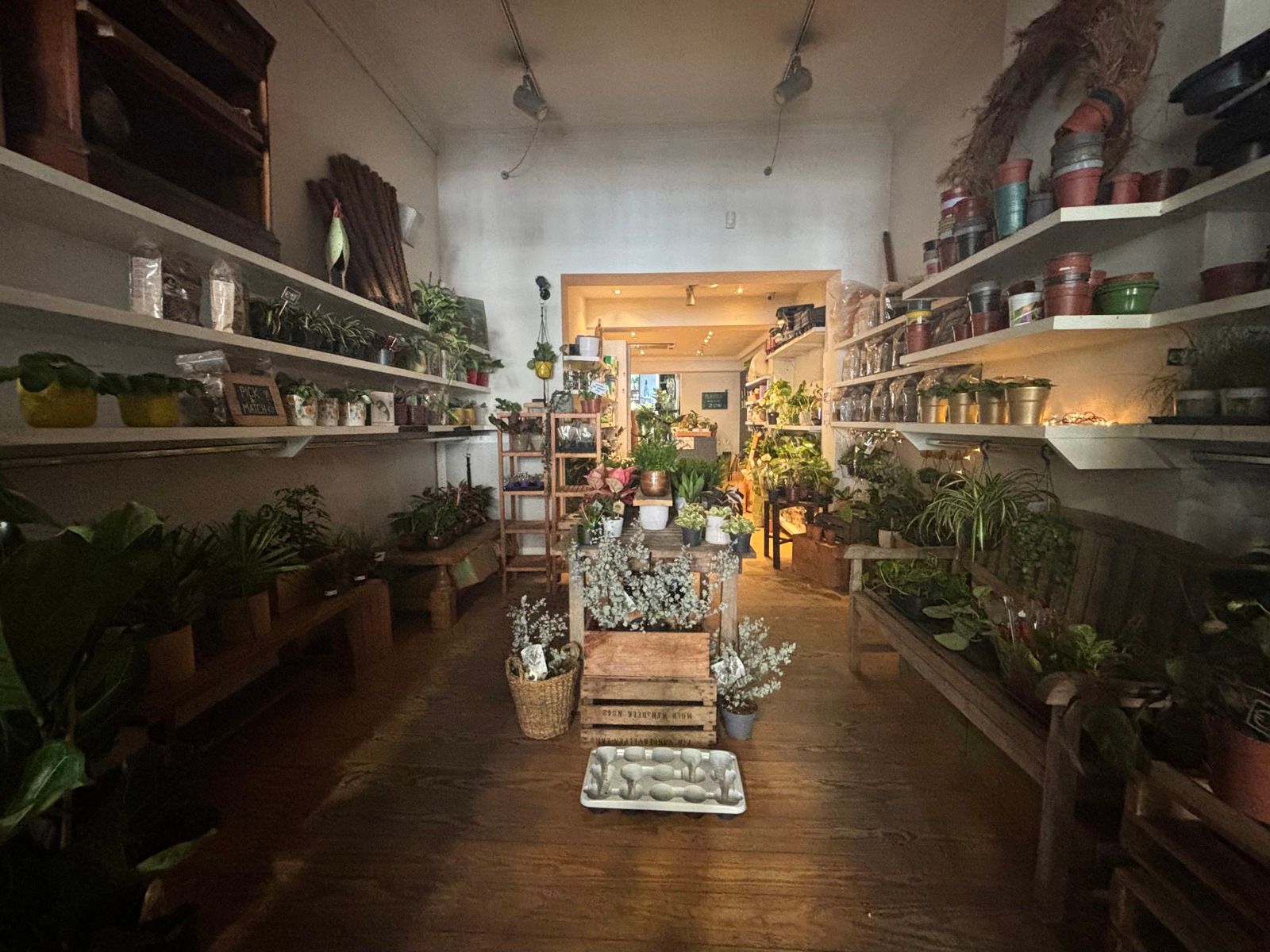 Handelsopportuniteit Bondgenotenlaan Leuven foto 4