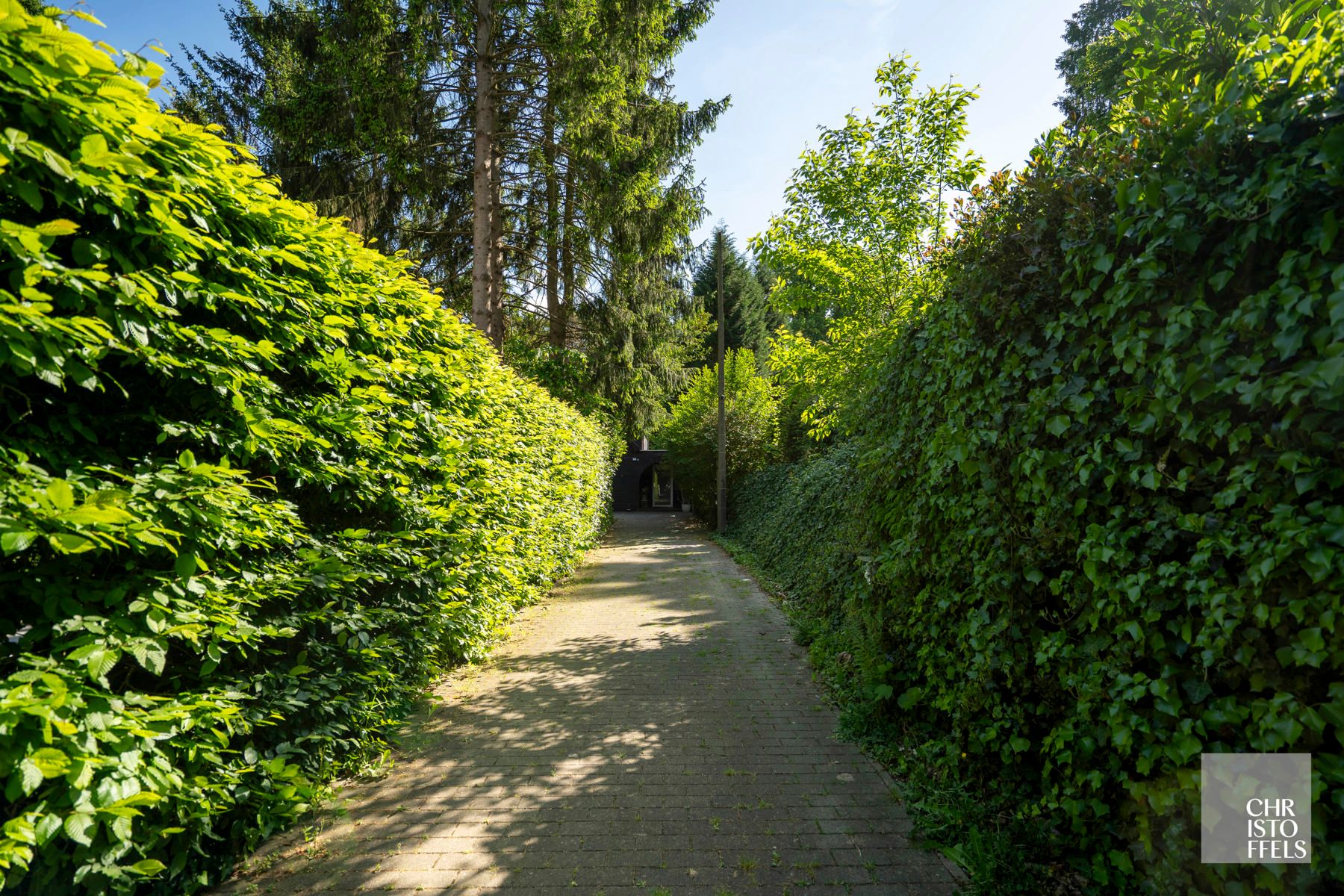 Charmante  op te frissen villa met oprijlaan, verscholen in het groen op een perceel van 1.694m² foto 22