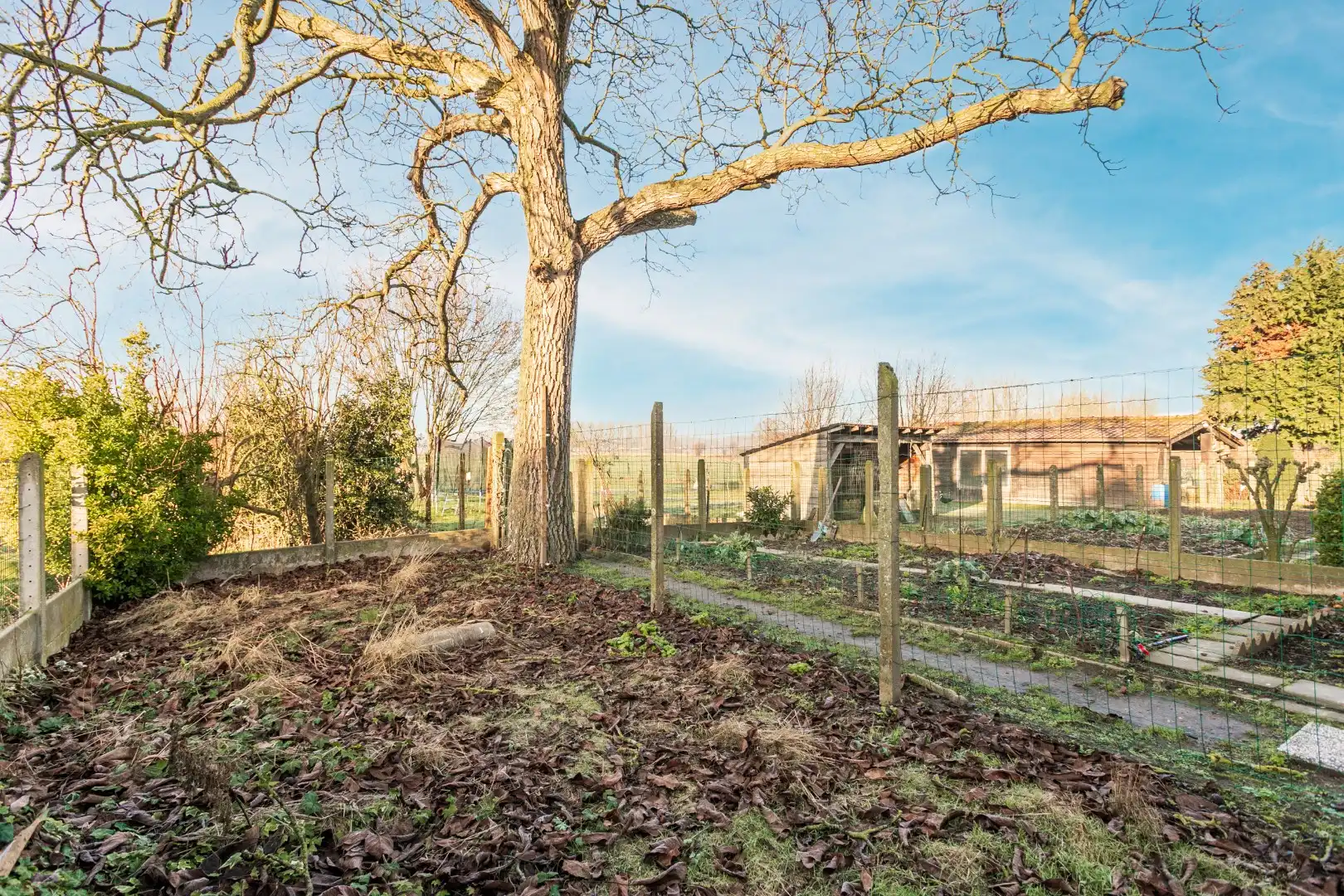 Te renoveren rijwoning met tuin te Vlezenbeek foto 18