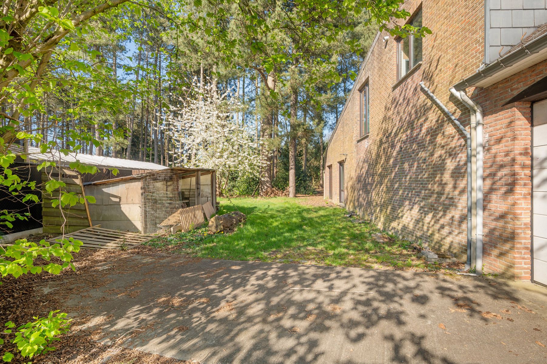 Te renoveren pand met magazijnen te BEERZEL foto 32