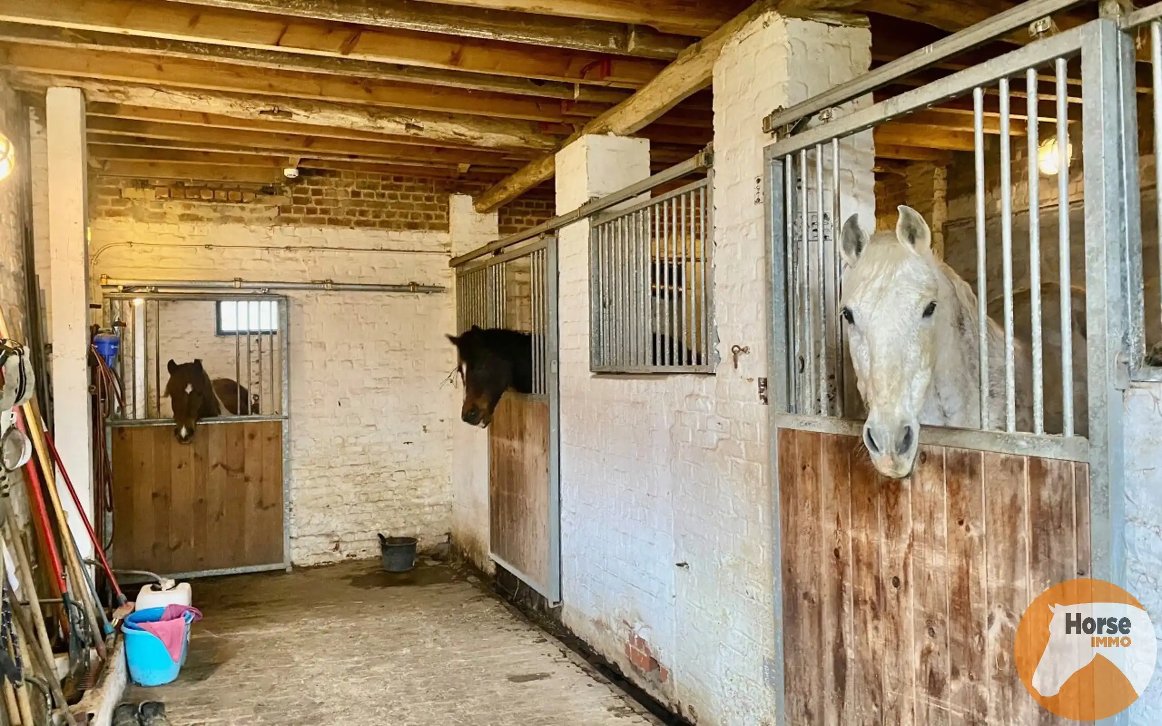 HALLE – Charmante woning met stallen op 1,15ha aan Hallerbos foto 8