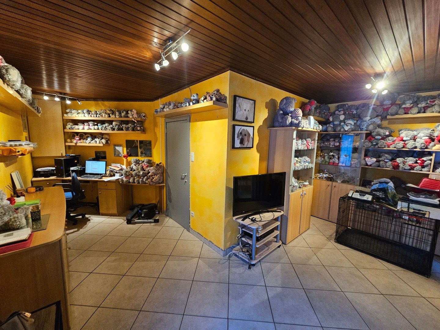  foto 6