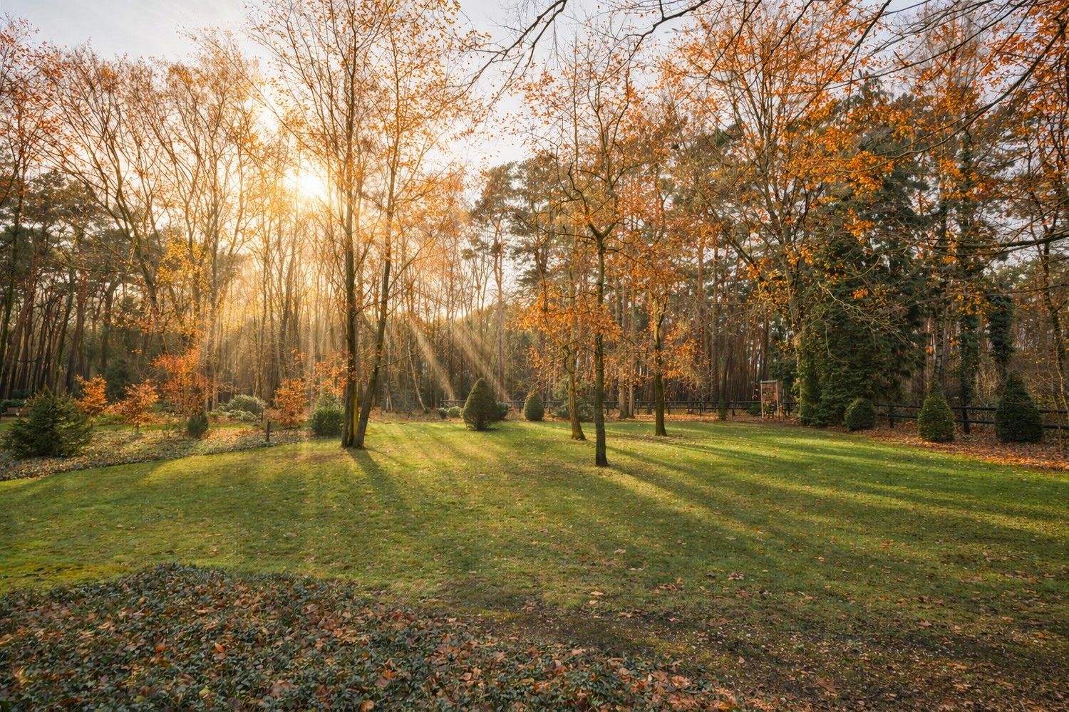Hier woon je waar rust, ruimte en natuur samenvloeien foto 2