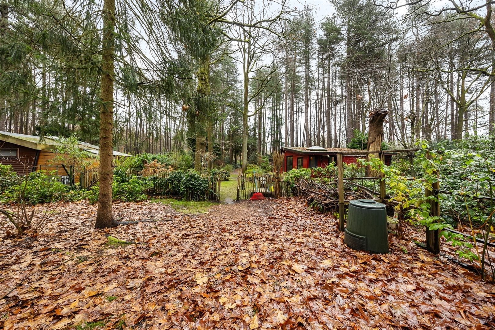 Gezellige tiny house in recreatiegebied foto 12