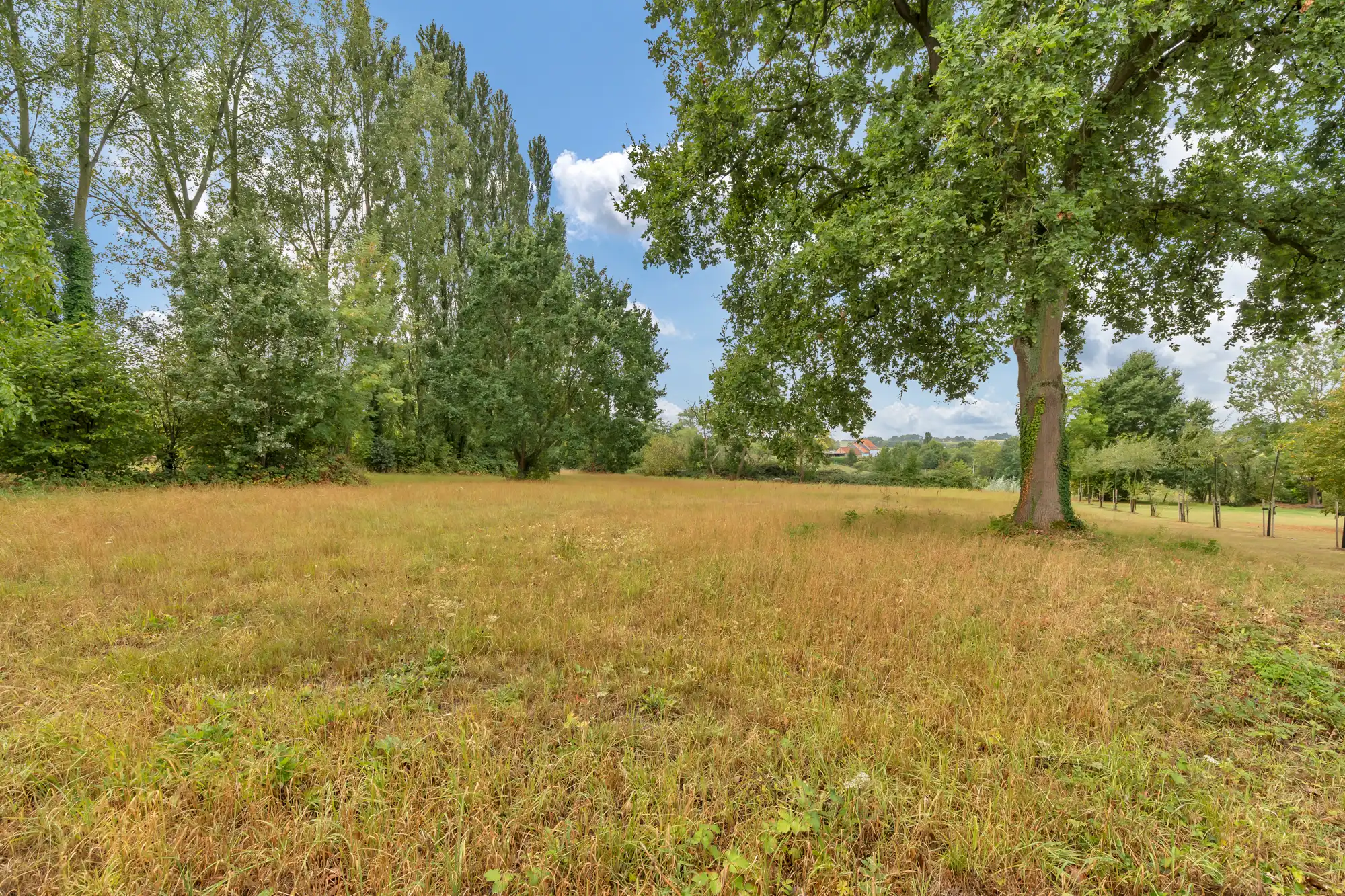 Uitzonderlijke villa op prachtig perceel! foto 37