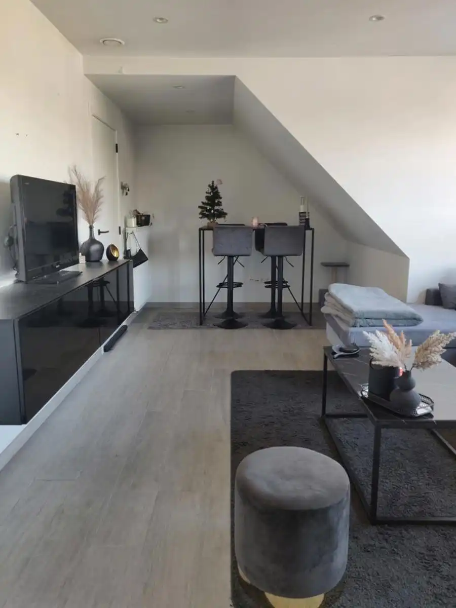 Recent appartement te Branst nabij Scheldedijk foto 4