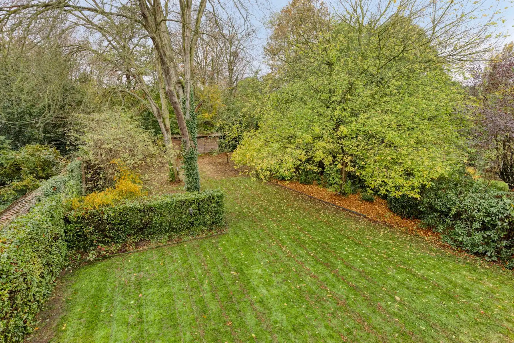 Uitzonderlijke villa met veel privacy en groen foto 31