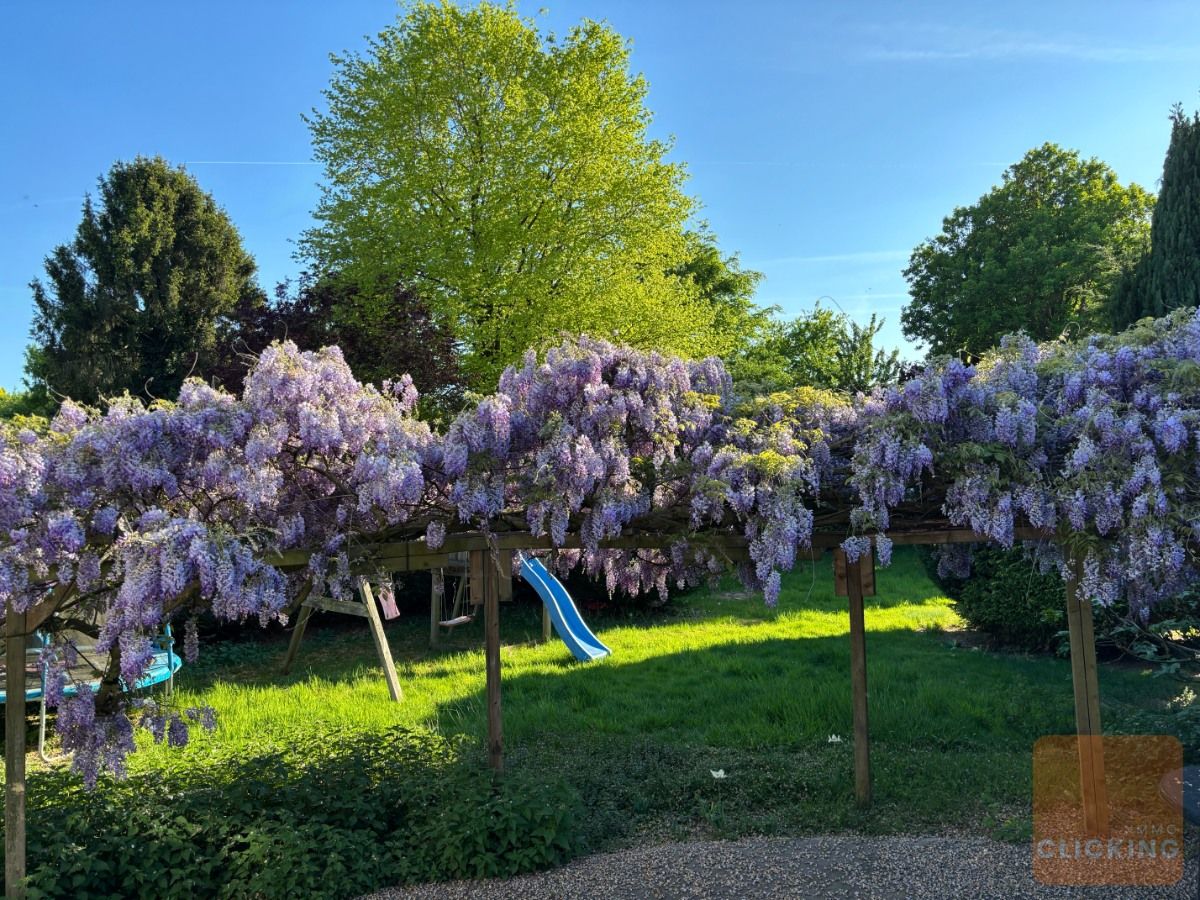 Gezellige woning (half open) met heerlijke Zuid  tuin foto 2