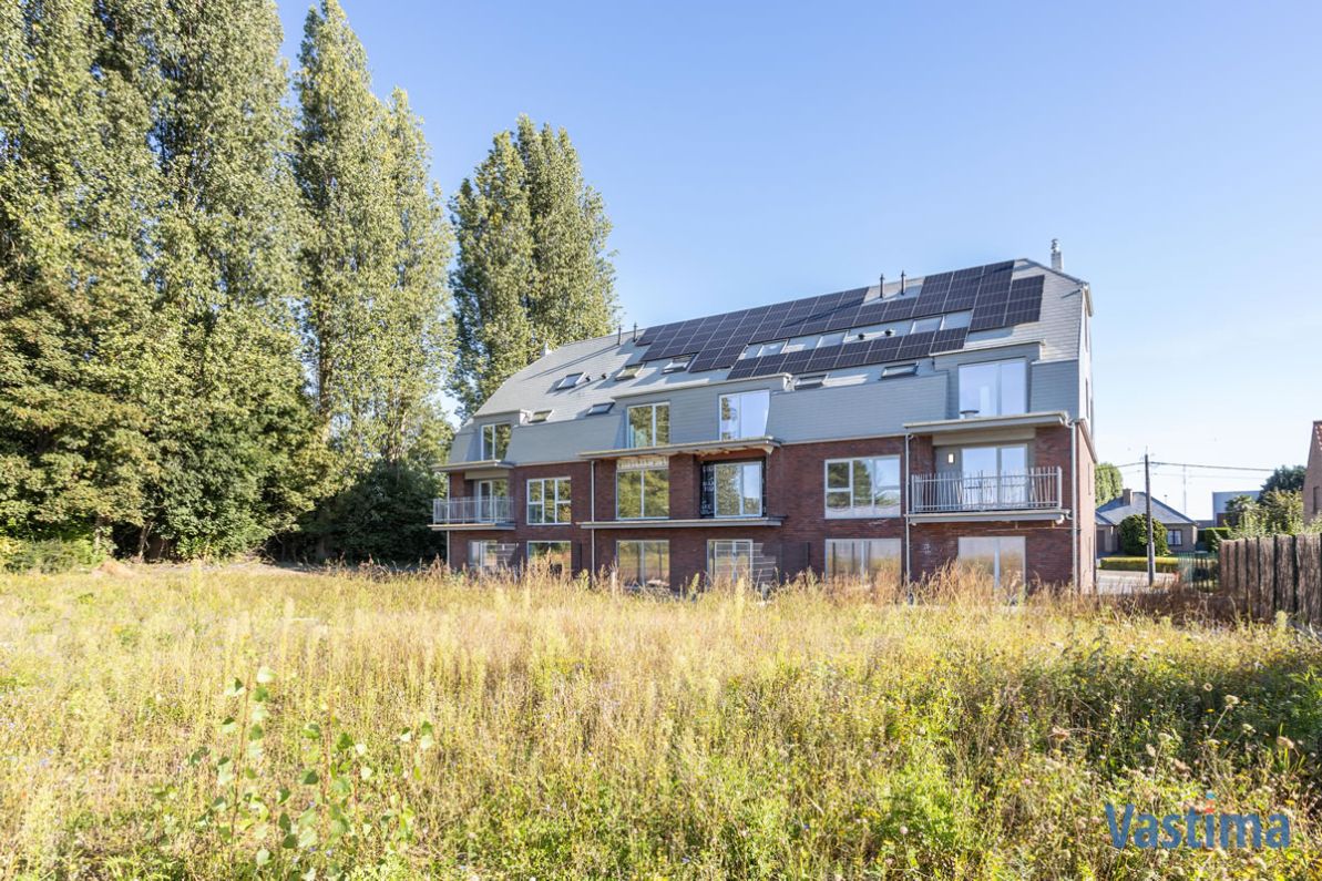 Nieuwbouwproject NINO vlakbij natuurgebied Wellemeersen foto 6