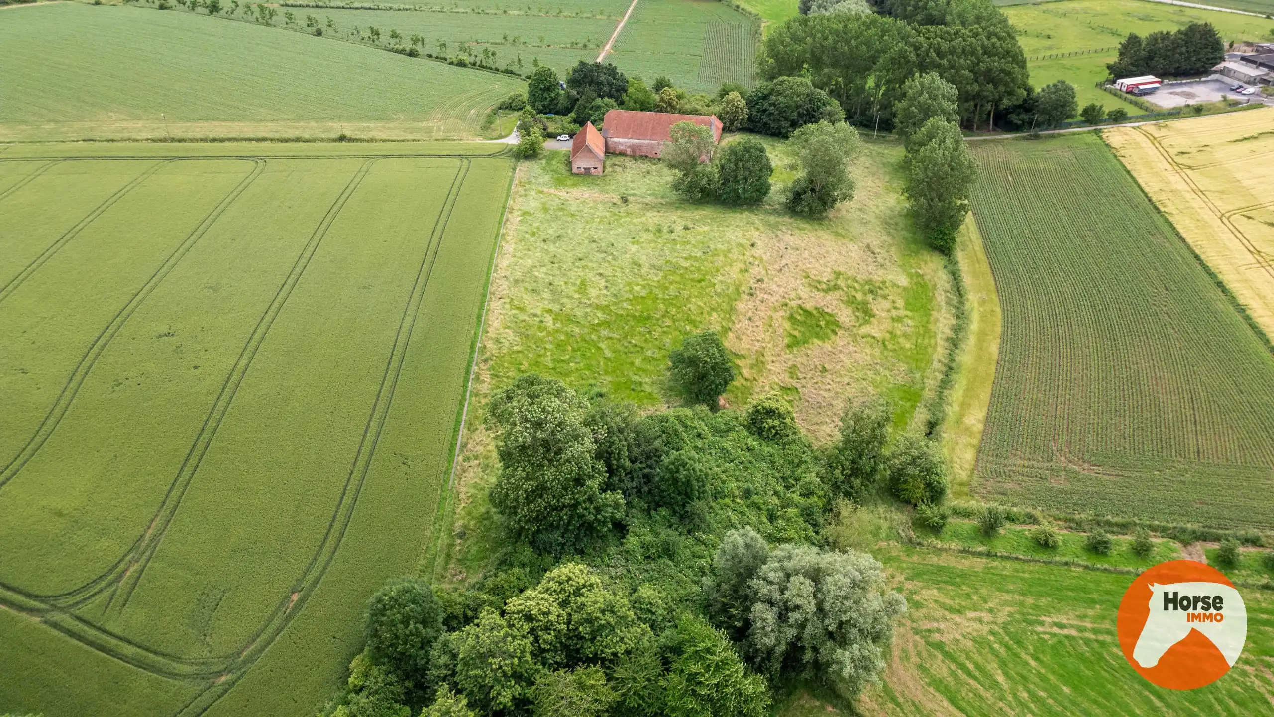 VOLLEZELE - Uniek gelegen karakterhoeve op ca. 2,4ha foto 7