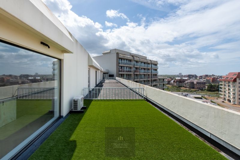 Vernieuwd dakappartement met zeer groot dakterras. foto 28