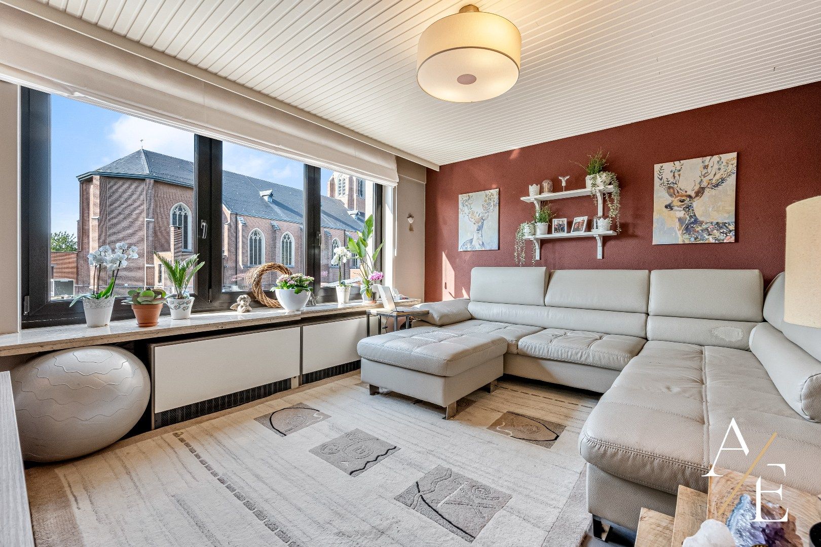 WICHELEN - Landelijke grote woning met prachtige tuin! foto 6