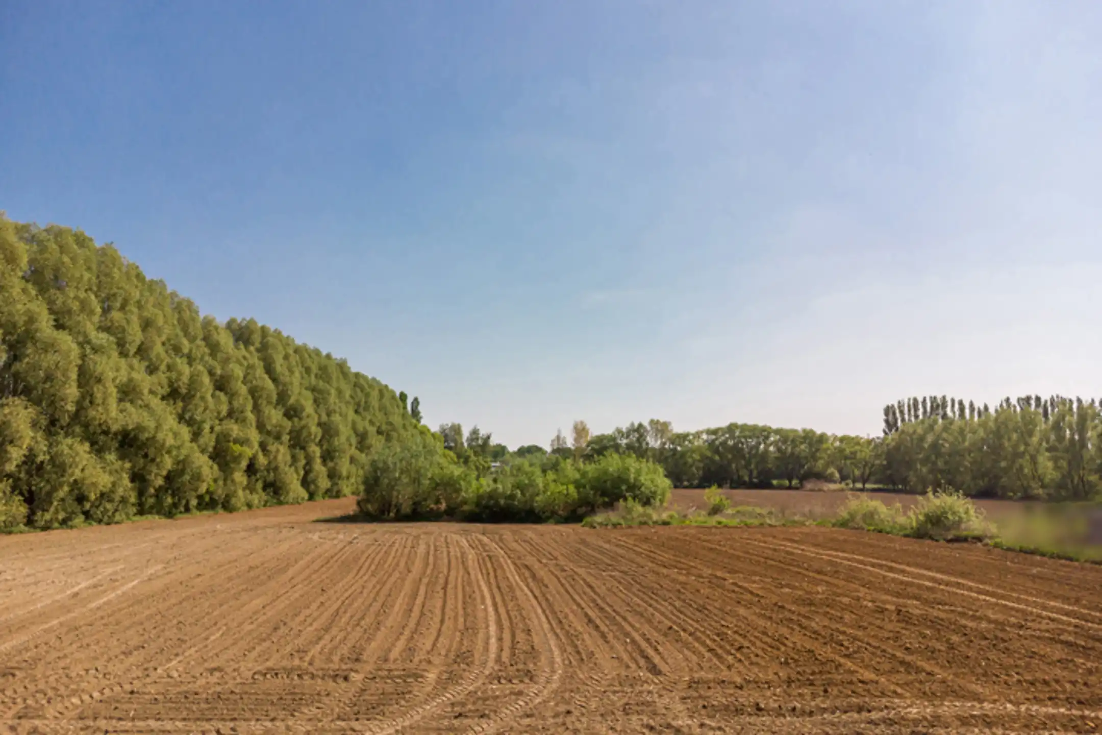 Uitzonderlijke bouwgrond op TOP locatie te Edegem foto 4