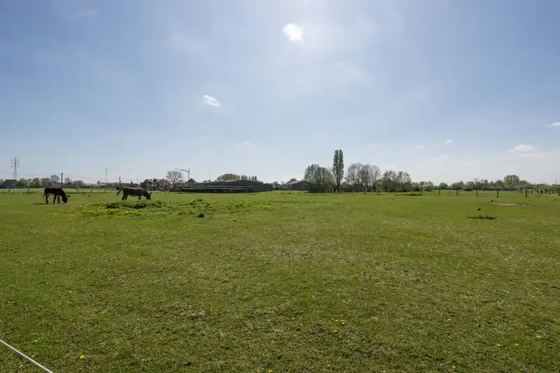 🏡✨ Prachtige nieuwbouwwoning met 3 slaapkamers TE KOOP in Sint-Eloois-Vijve! foto 18