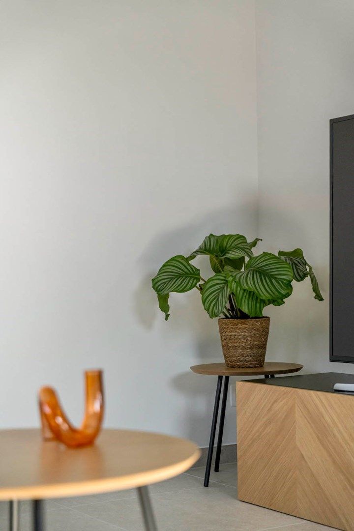Knap afgewerkt 2-slaapkamer appartement met standplaats vlakbij het centrum foto 8