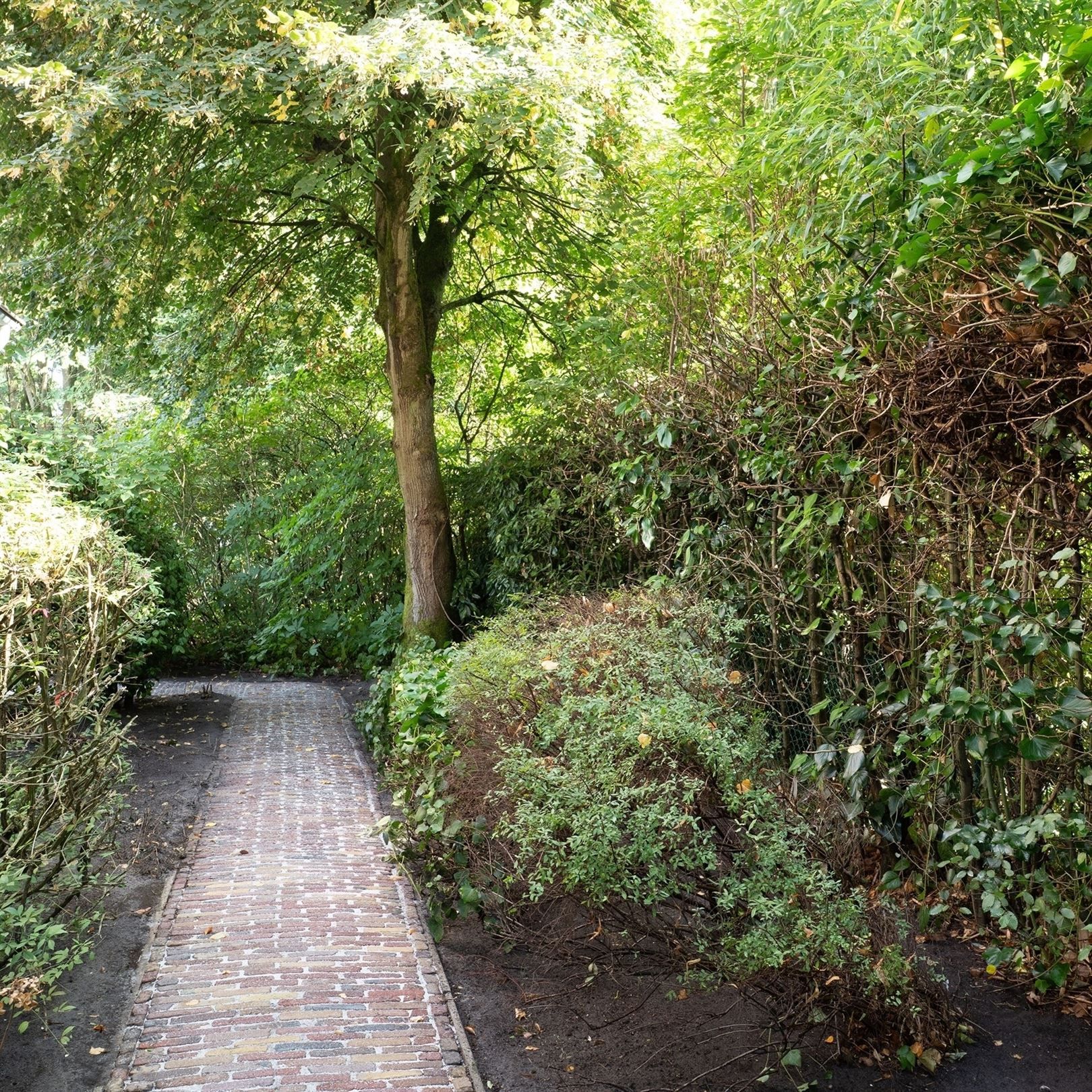 EXCLUSIEF: stijlvolle villa met een tijdloze inrichting op een toplocatie te Schilde! foto 91