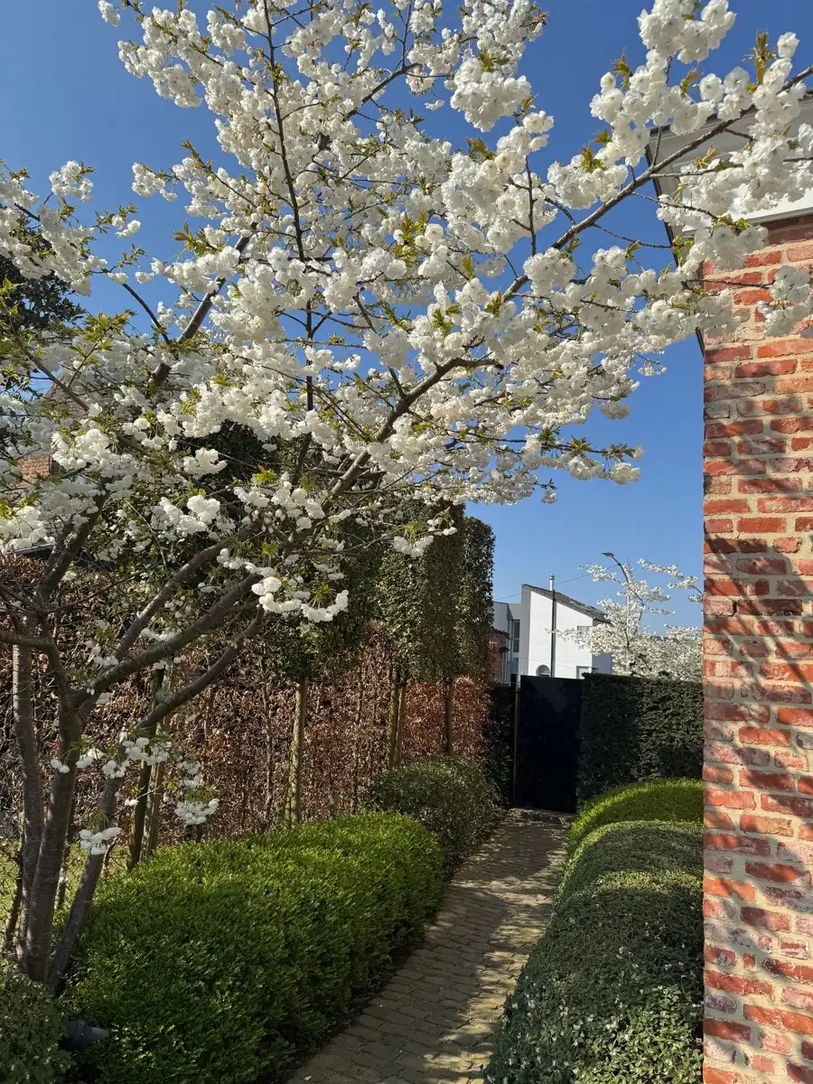 Exclusieve instapklare woning met zwembad en open groenzicht foto 8