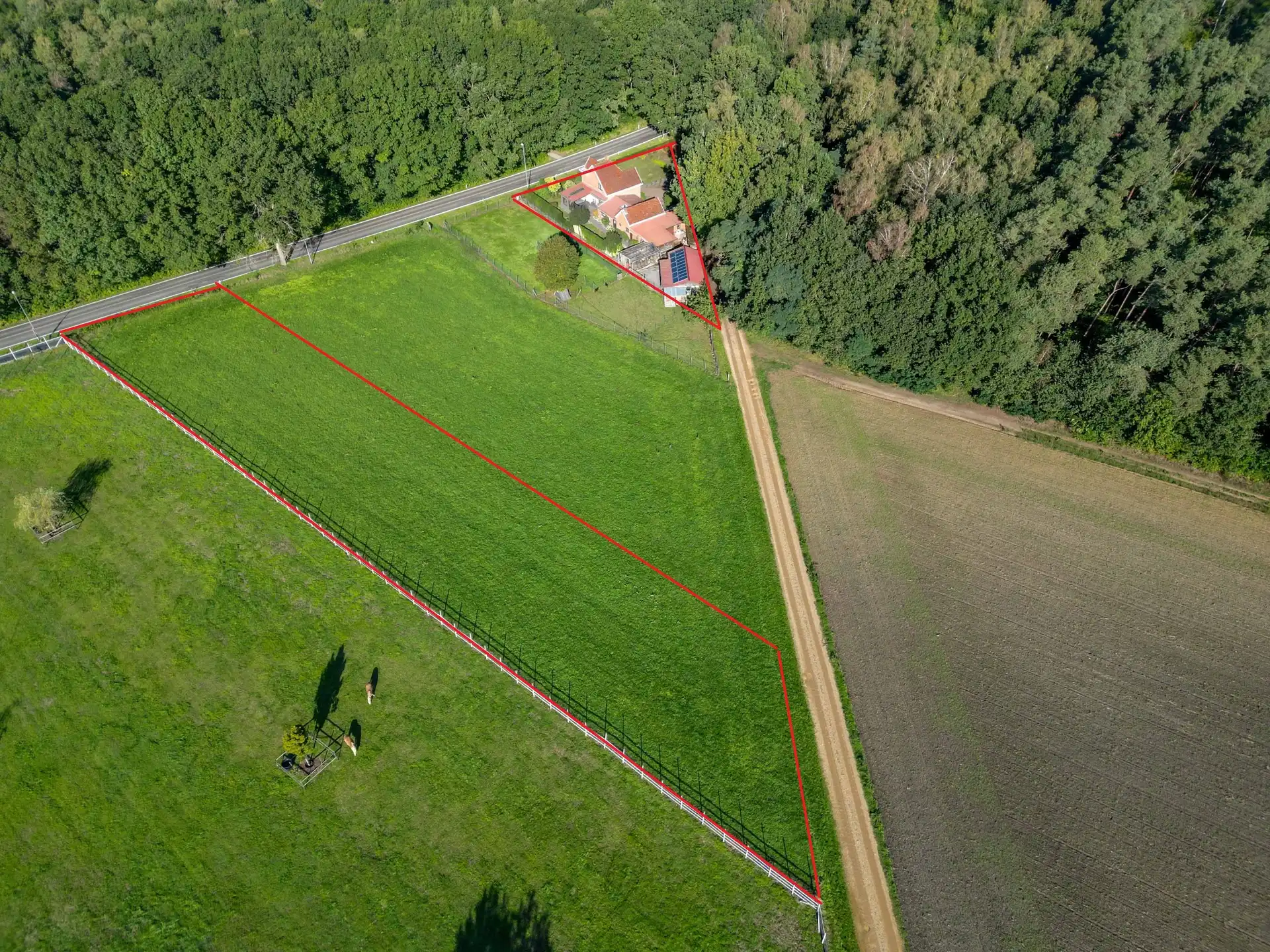 KARAKTERVOLLE WONING OP 41,73 ARE TE OPGLABBEEK foto 5