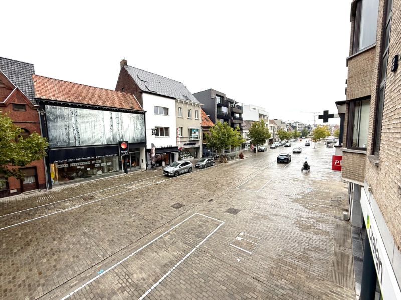 Instapklaar en ruim appartement met 2 slaapkamers en groot terras in hartje Deinze foto 15