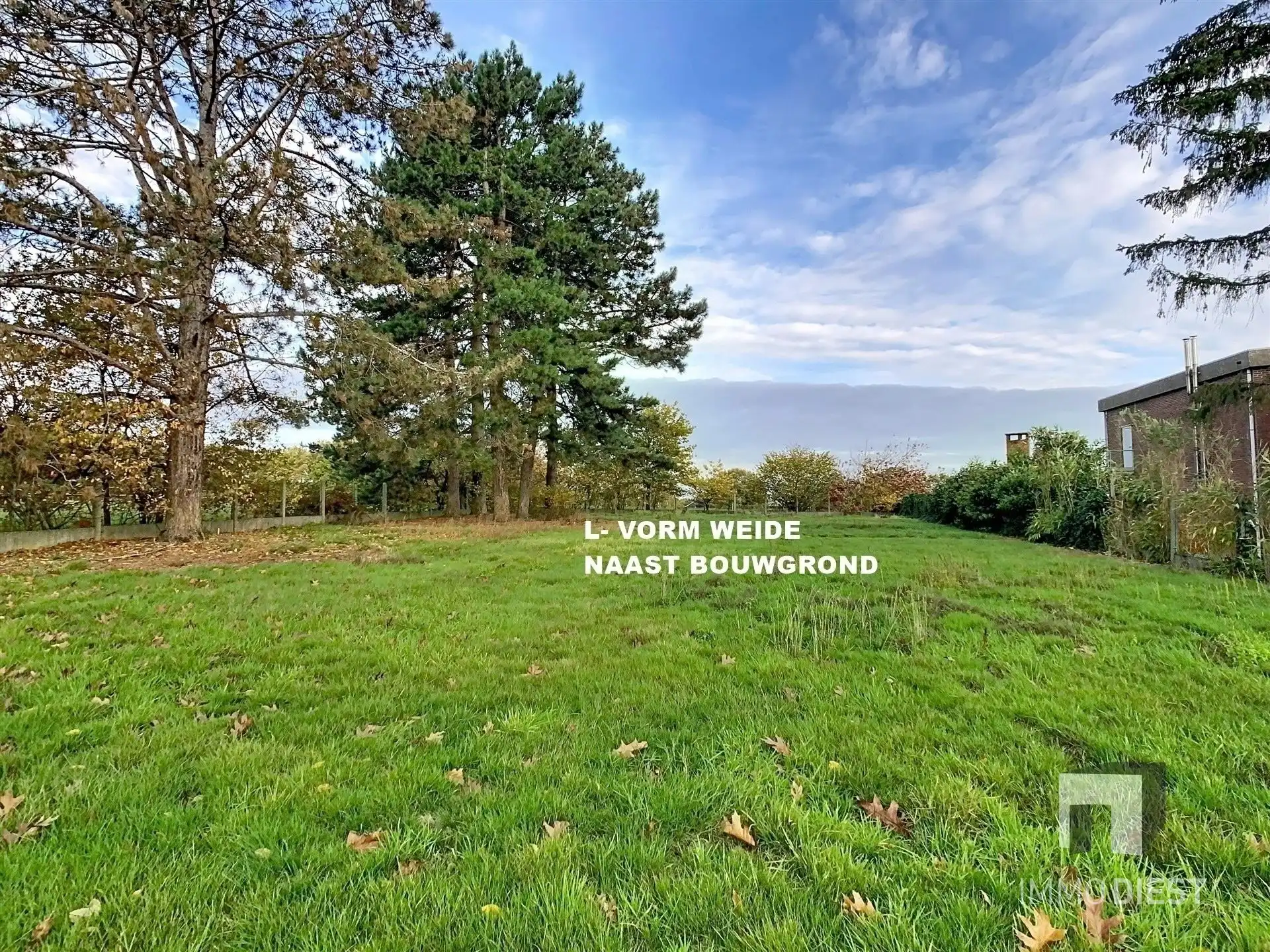 Landbouwgronden of weiden 6.067 m² foto 4