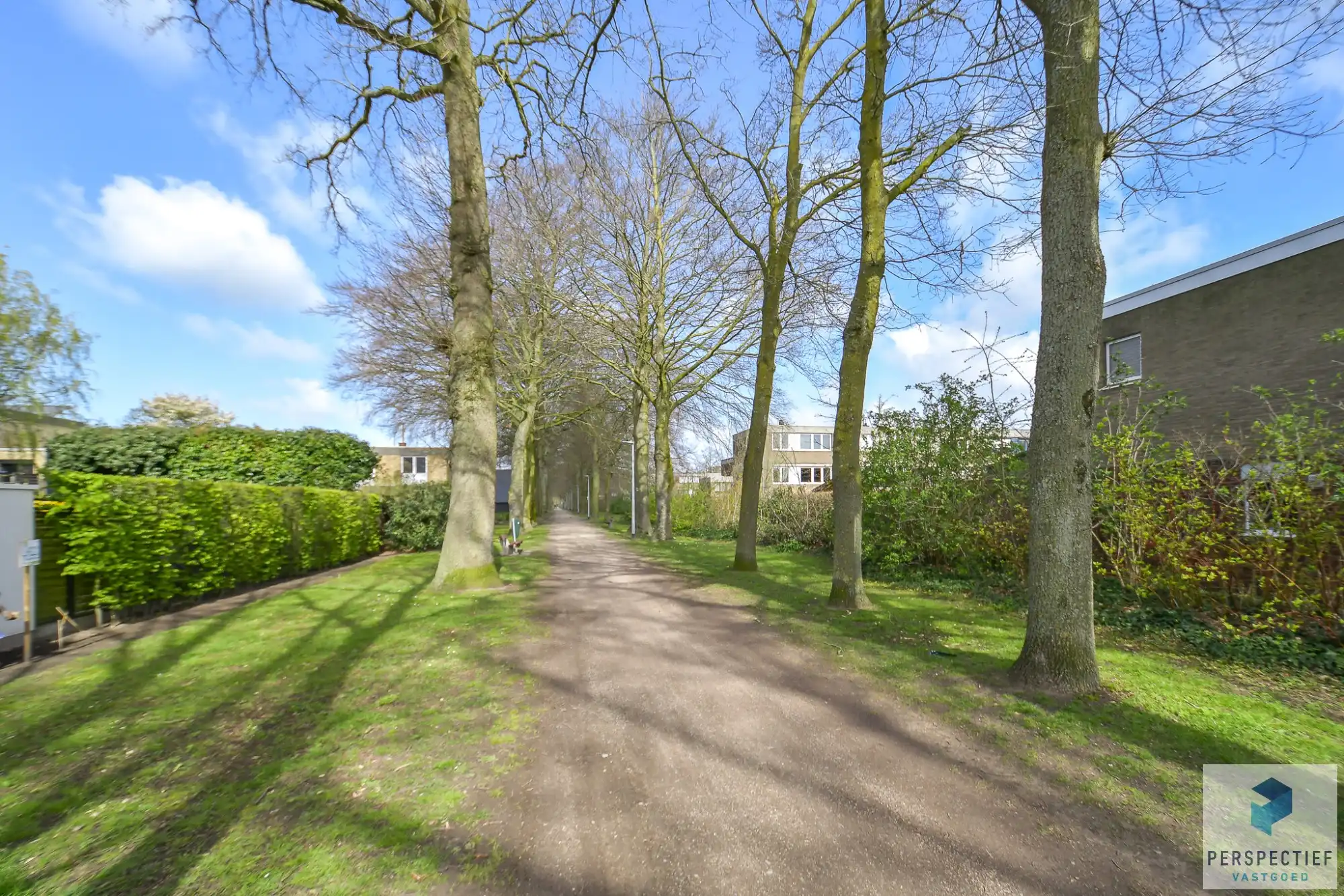 Te renoveren bel-etagewoning in rustige doodlopende straat op toplocatie foto 3