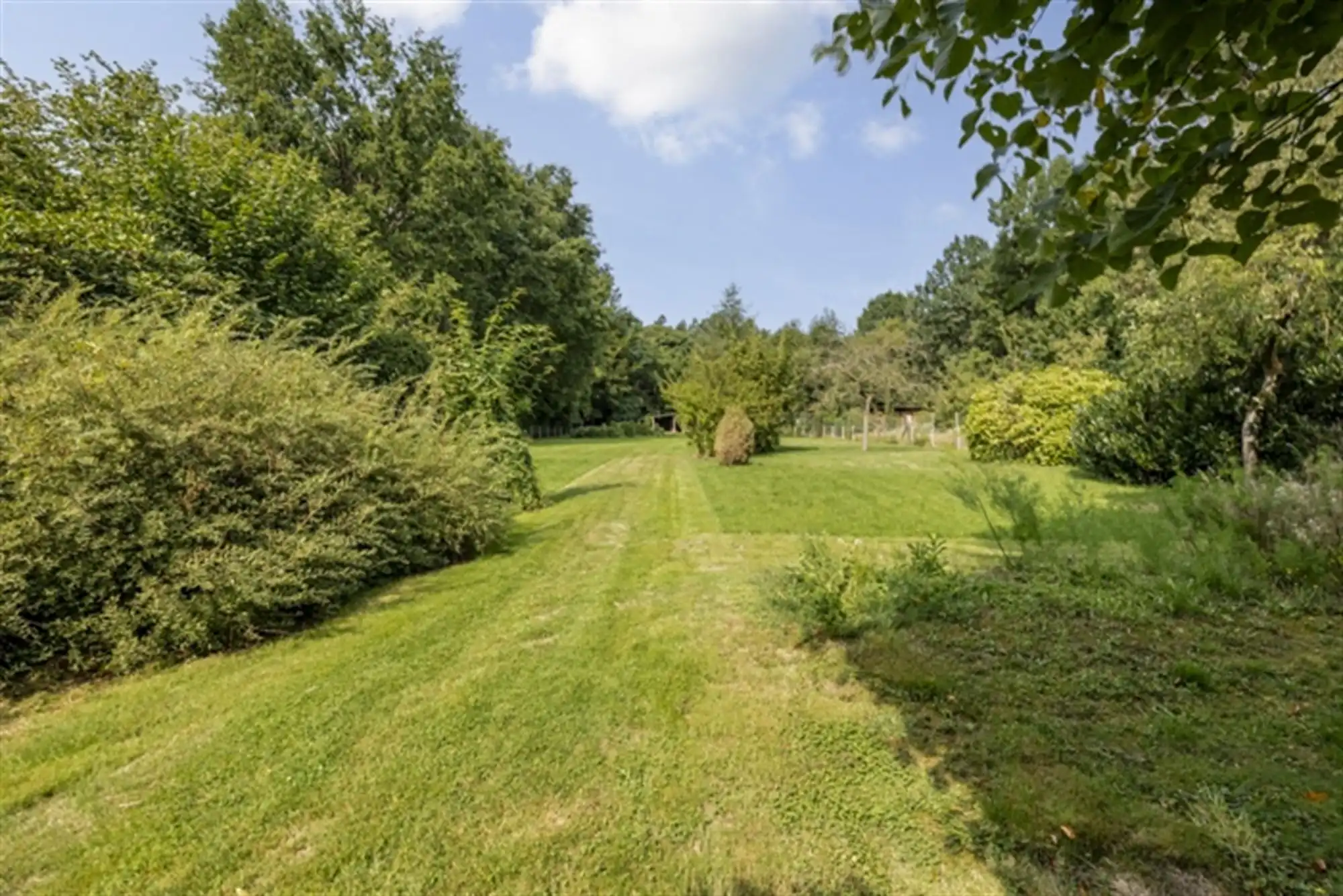 Landhuis met bijgebouwen op 3835 m² op rustige ligging foto 26