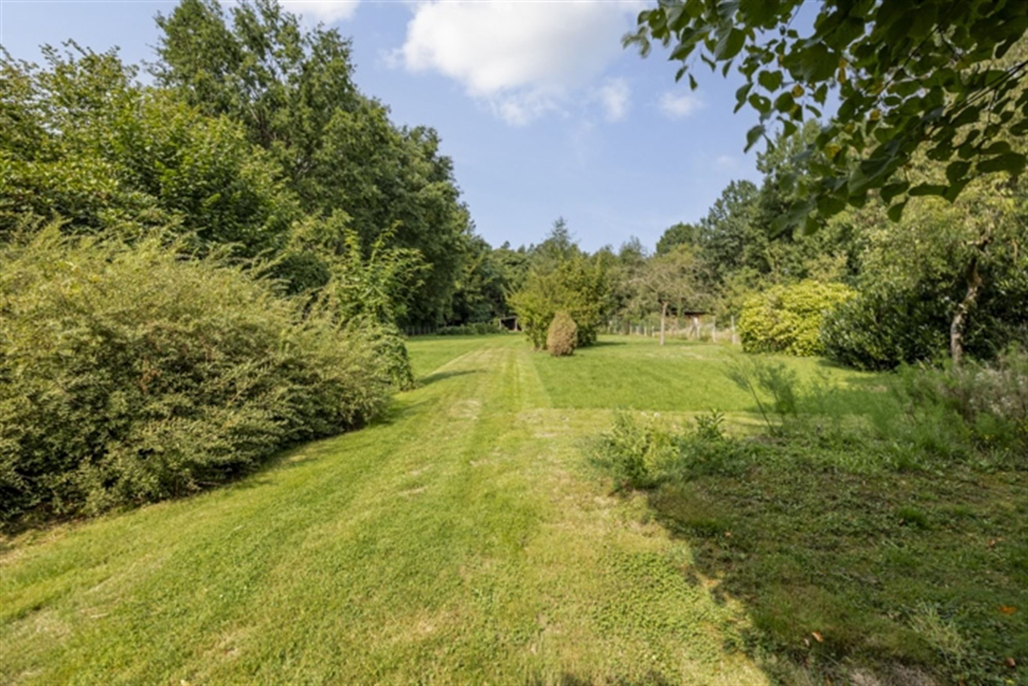 Landhuis met bijgebouwen op 3835 m² op rustige ligging foto 26