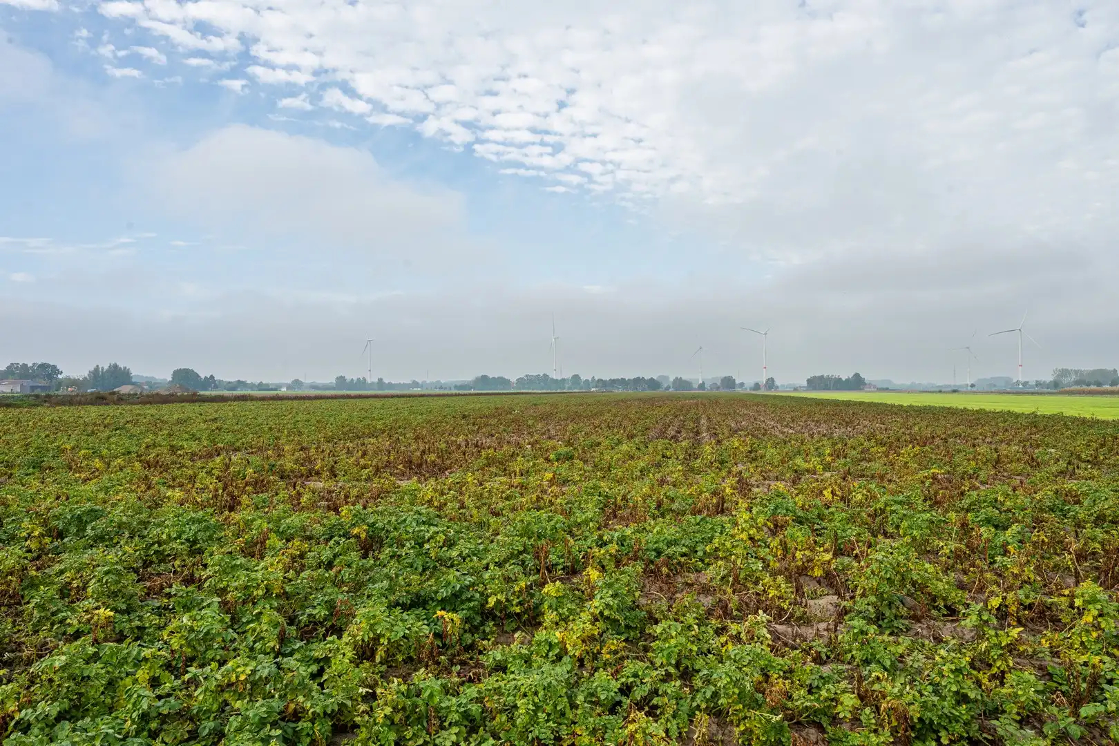 Woning met veel potentieel op topligging te Eeklo foto 18