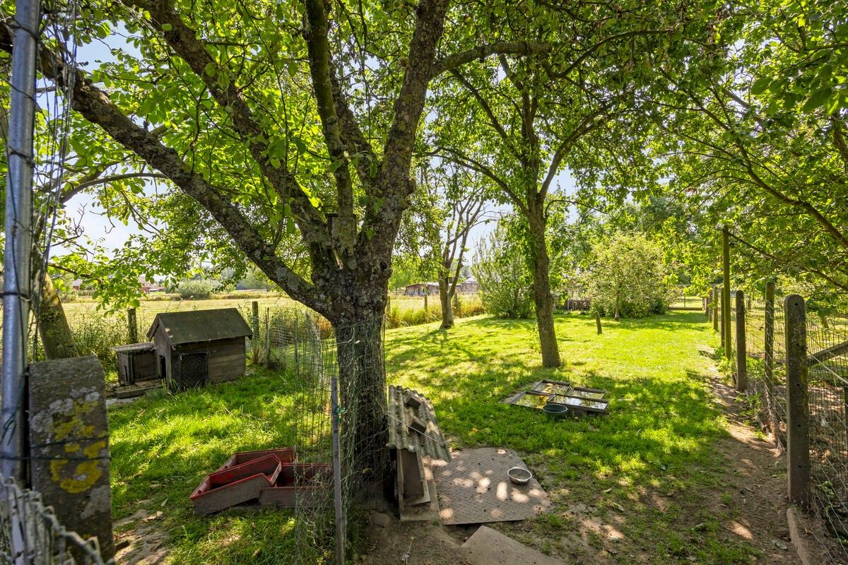 Halfopen bebouwing met 4 slaapkamers en grote tuin. foto 9