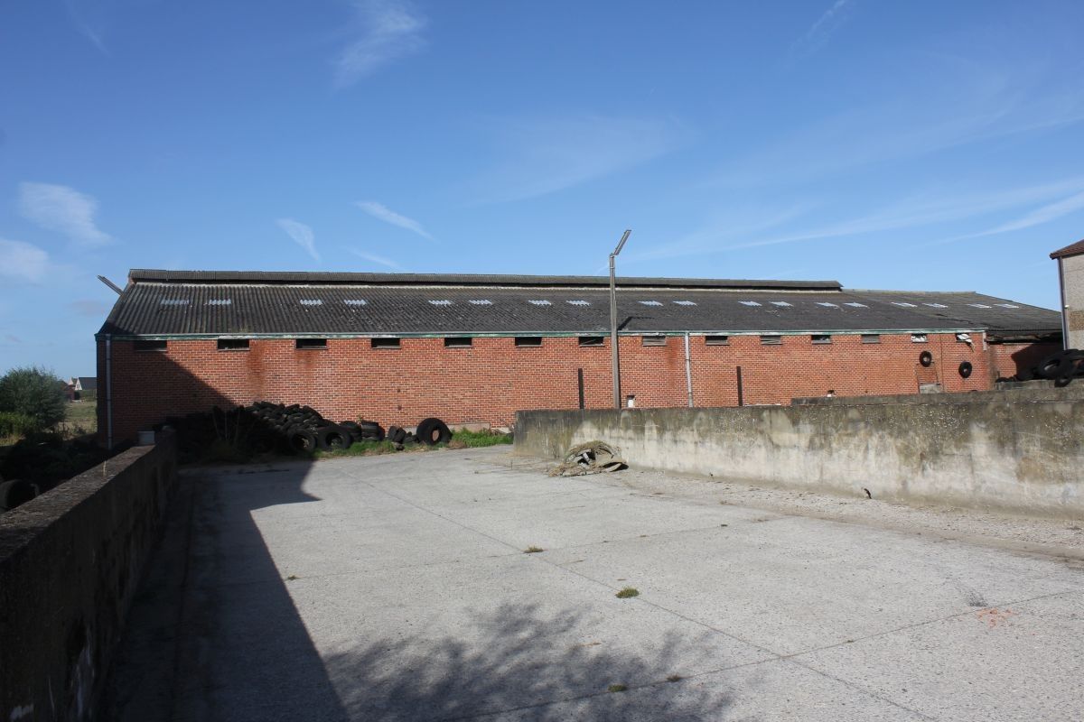 Loods en stal te koop te Moorslede op 4.200 m² met mogelijkheid aanpalende weide foto 4