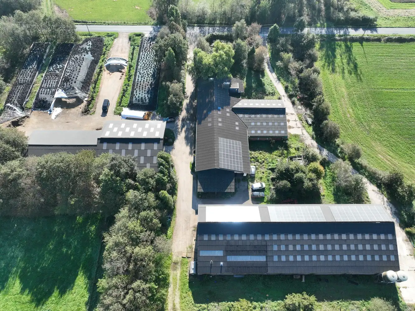 Melkveebedrijf en optionele landbouwgrond in Geel foto 3
