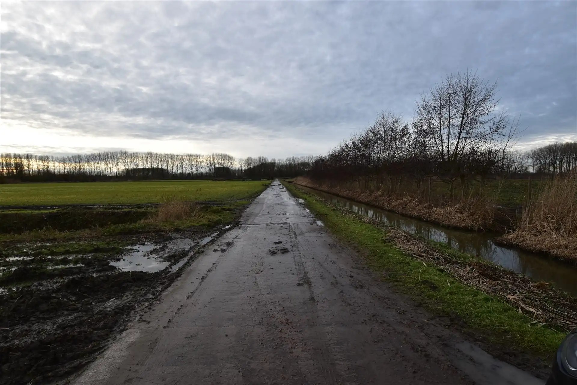 Landbouwgrond in Moerzeke foto 4