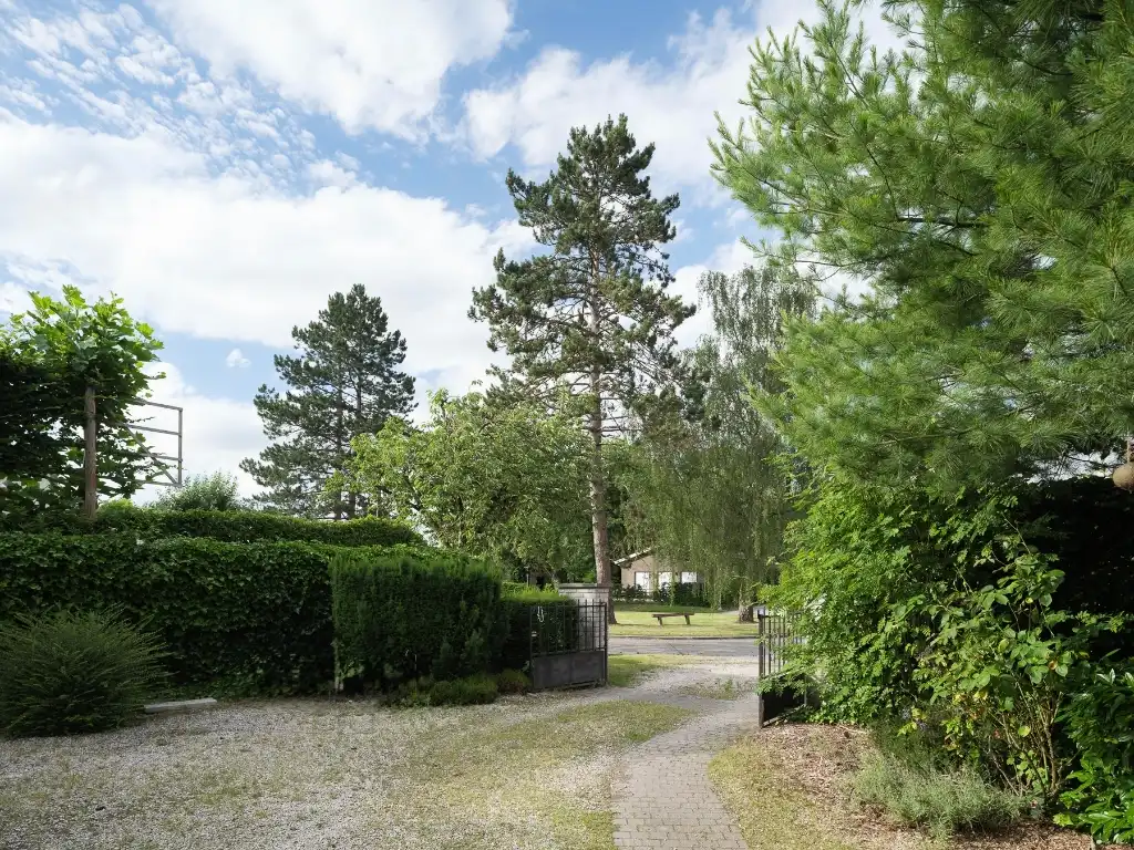 Uniek gelegen woning in doodlopende straat grenzend aan het Parkbos foto 7