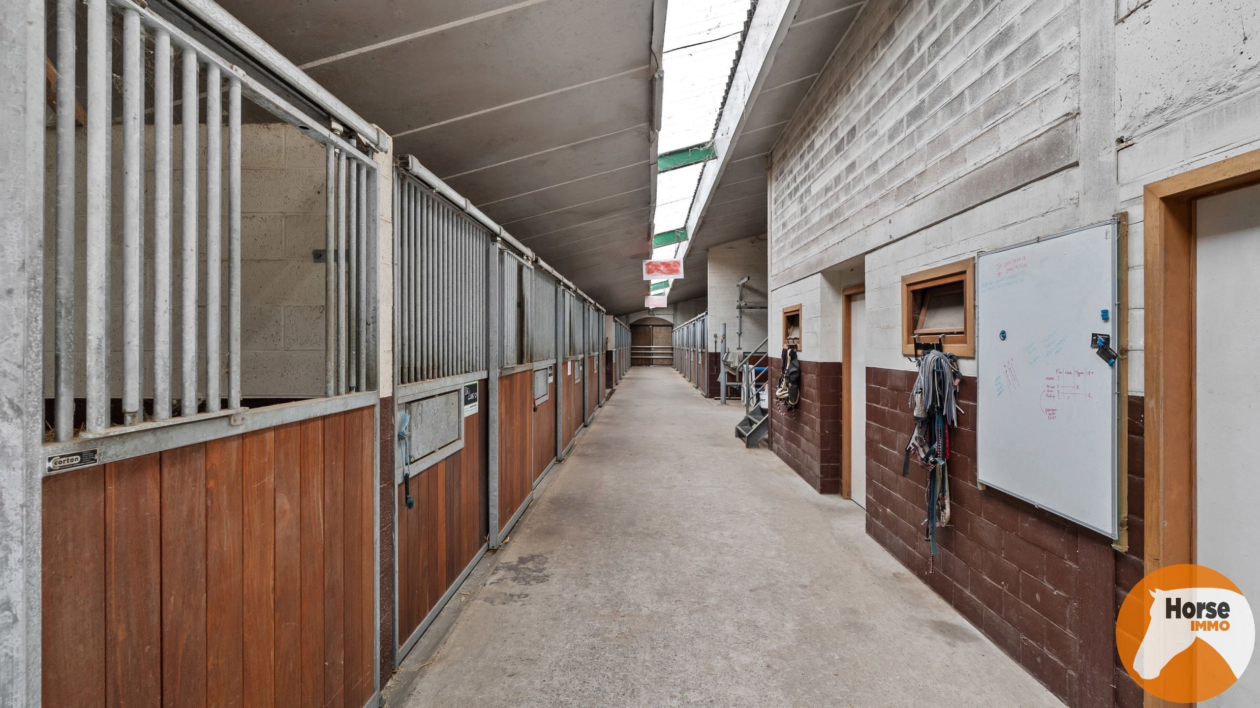 HERNE - Paardenaccomodatie met woning op 2,4ha foto 29