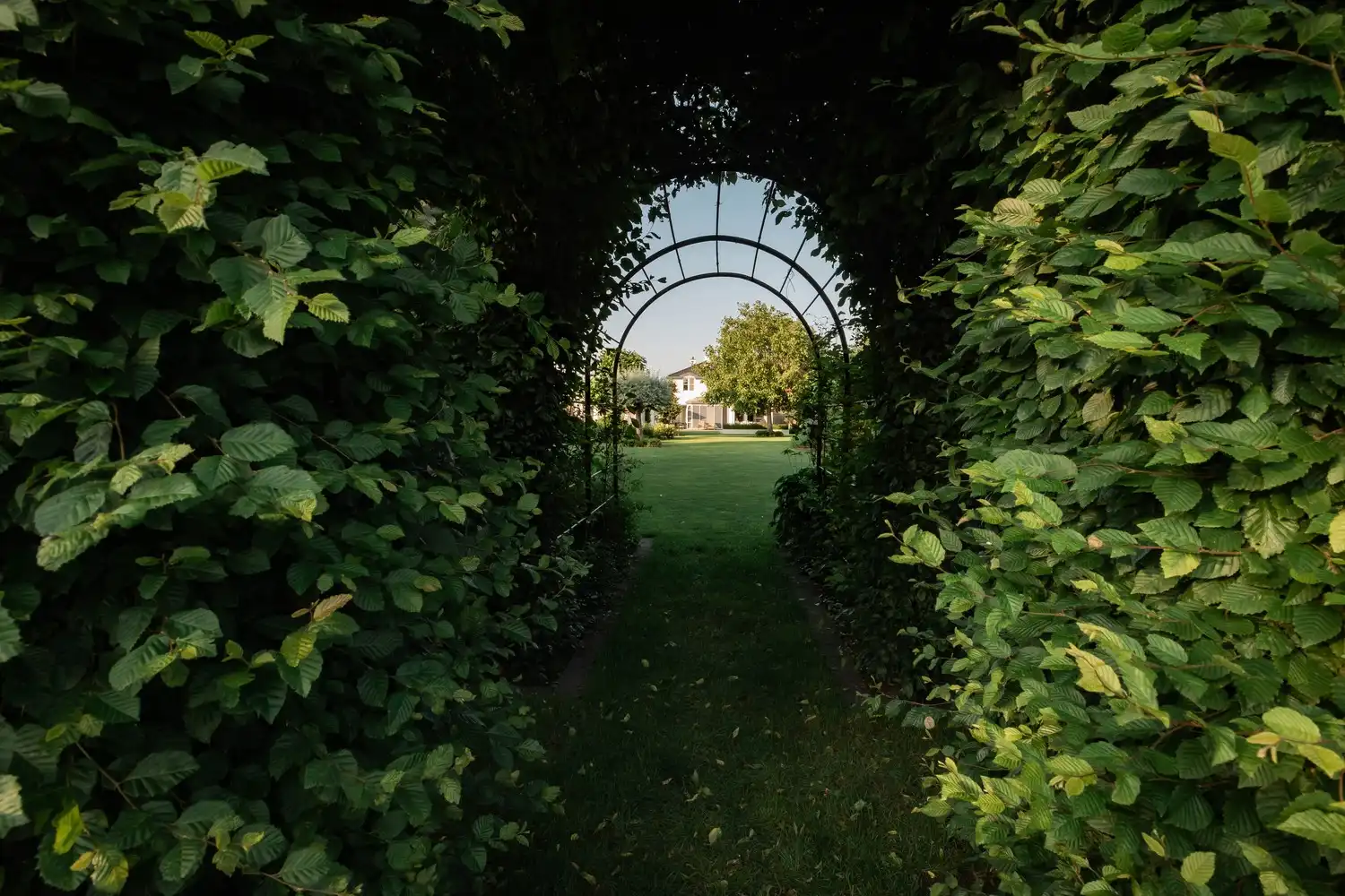 Prachtige villa met zwembad op 1 ha foto 11