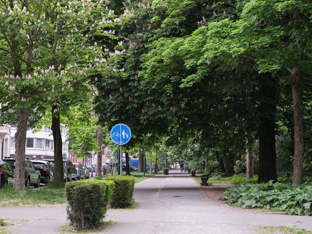 Magnifiek wonen tussen de kruien van de bomen foto 21