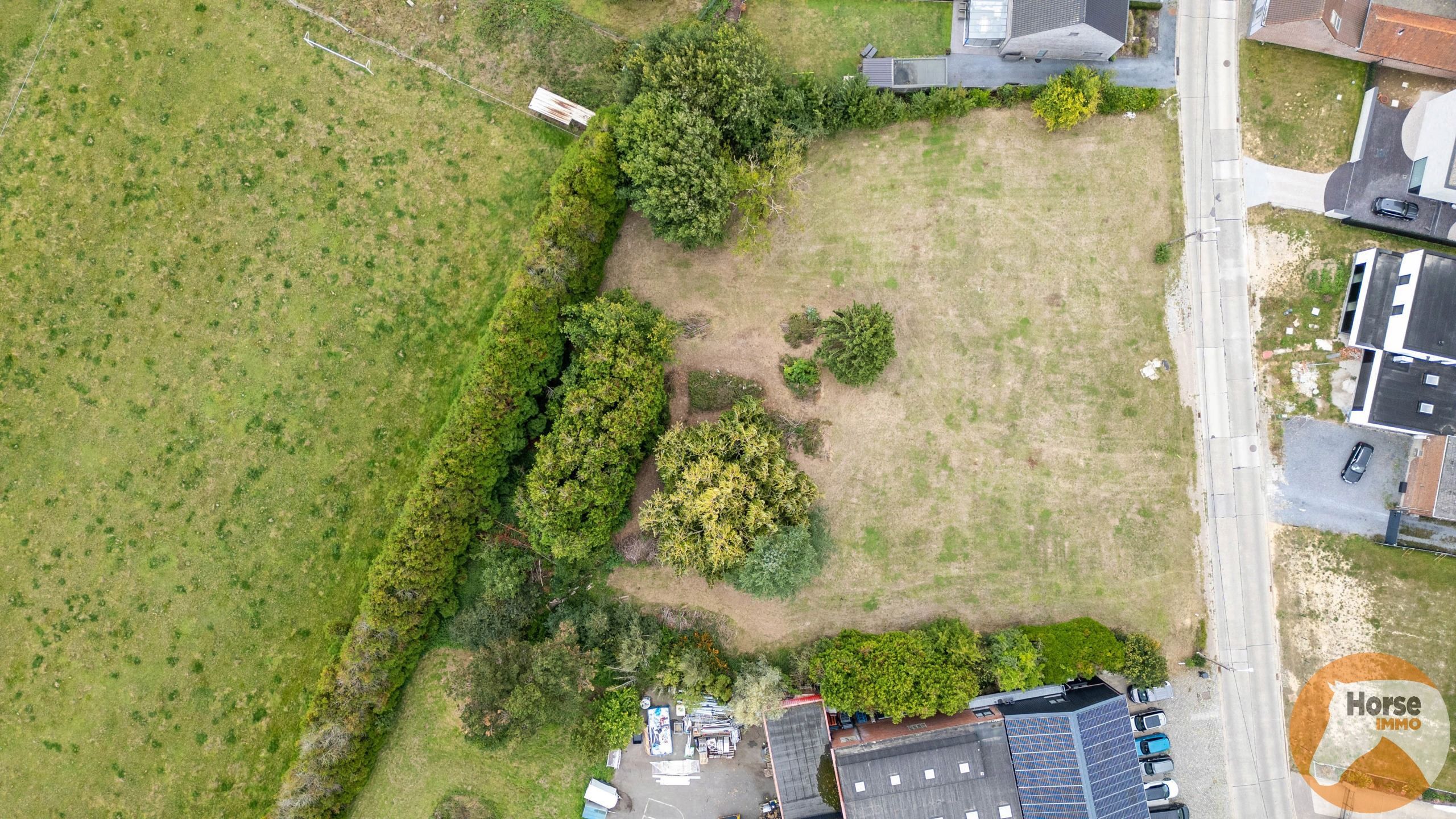 BAVEGEM- Bouwgrond (lot 1) voor halfopen bebouwing met weide foto 8