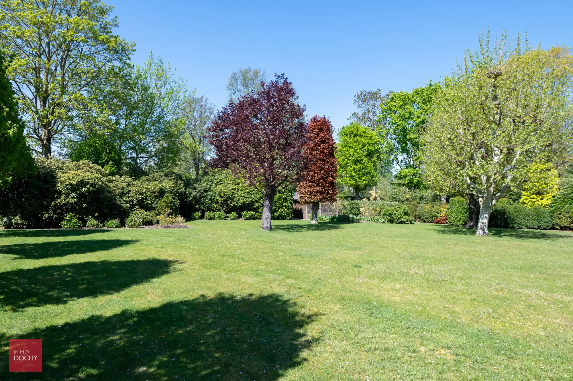 Zeer goed onderhouden ruime villa op 5.328m² foto 8