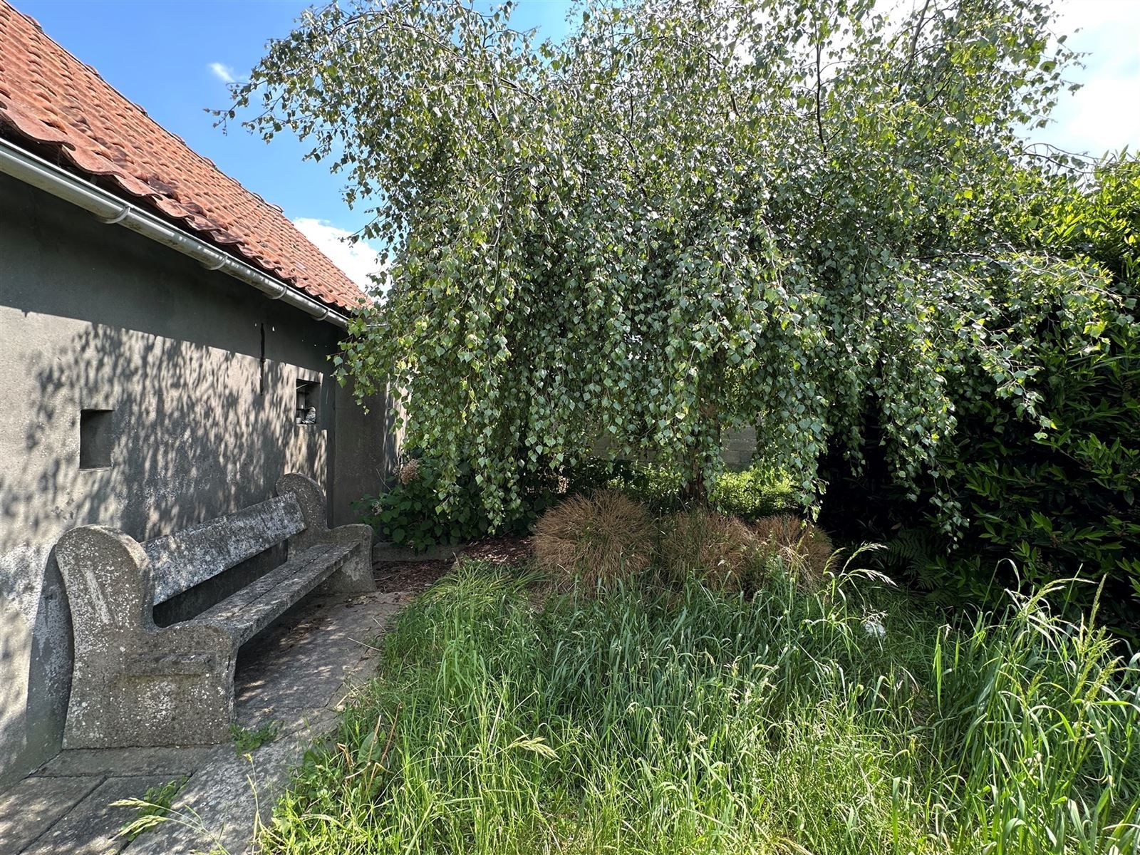 Charmante te renoveren woning te Erwetegem! foto 13