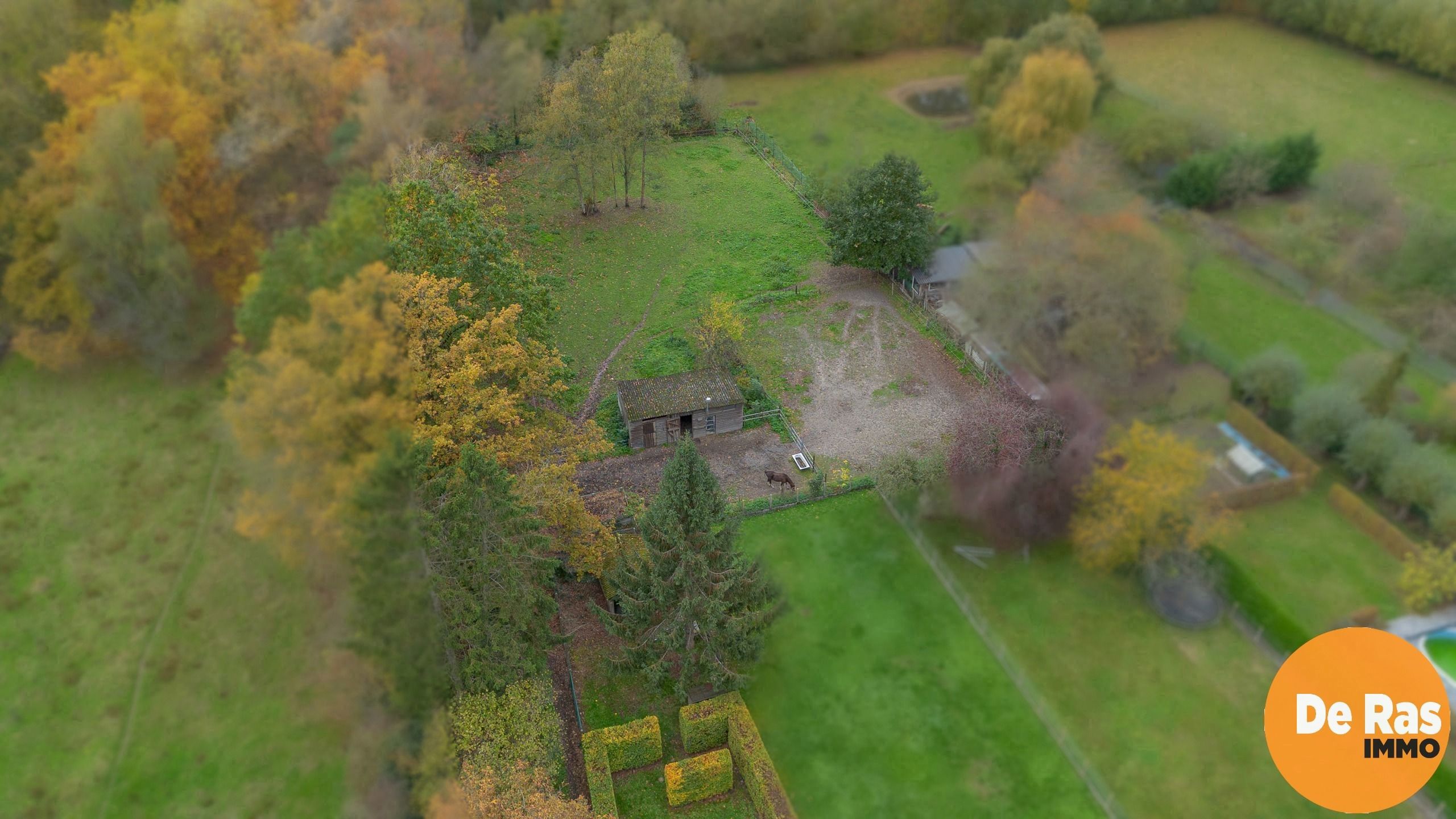 EREMBODEGEM- Ruime gezinswoning met tuin en weide  foto 34