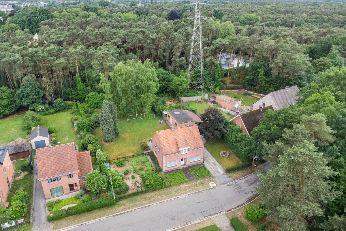 Hoofdfoto van de publicatie: Rustig gelegen woning met oa 4 slpks op een mooi breed perceel van 21 are.