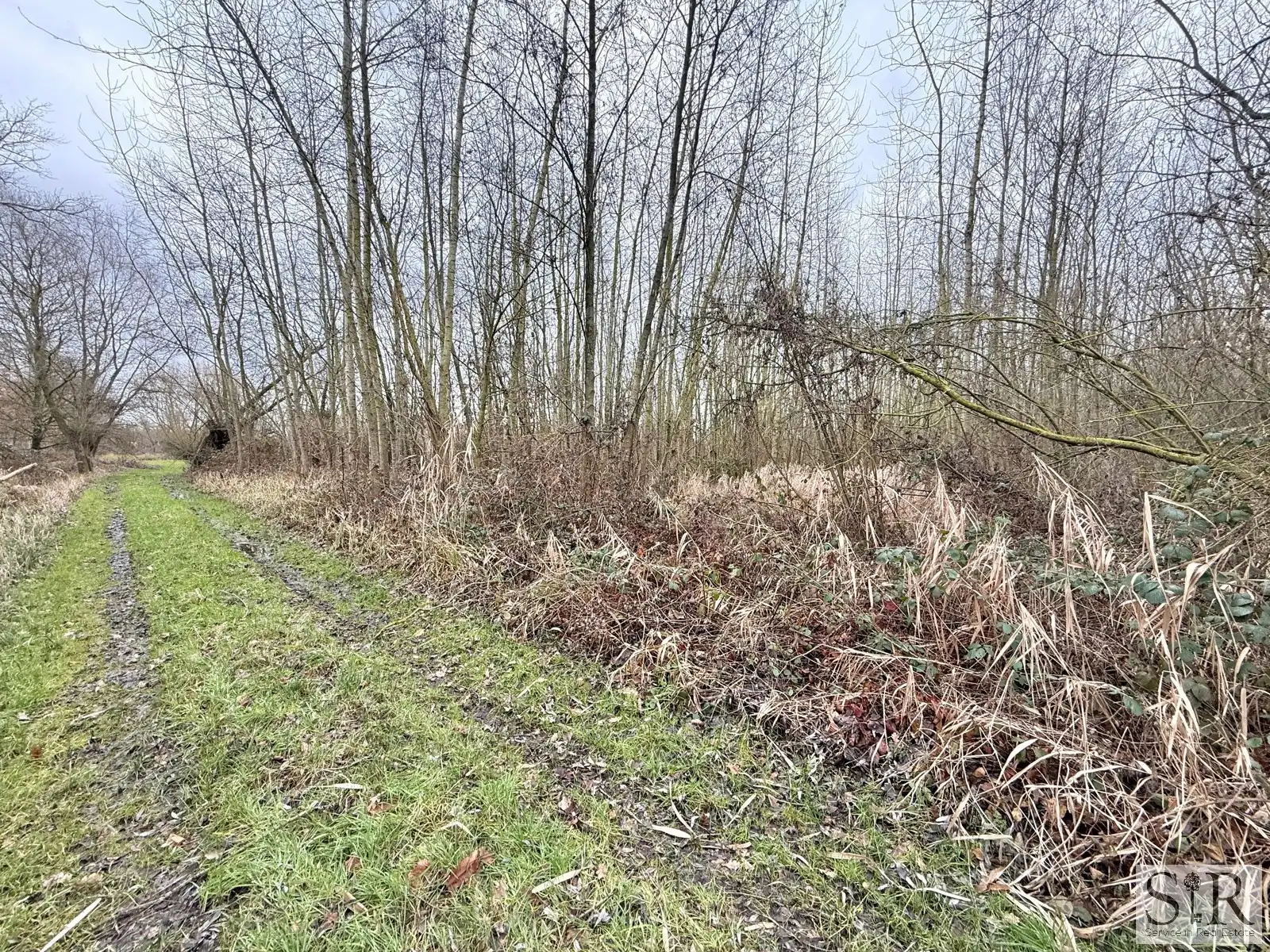 Grond te koop foto 4