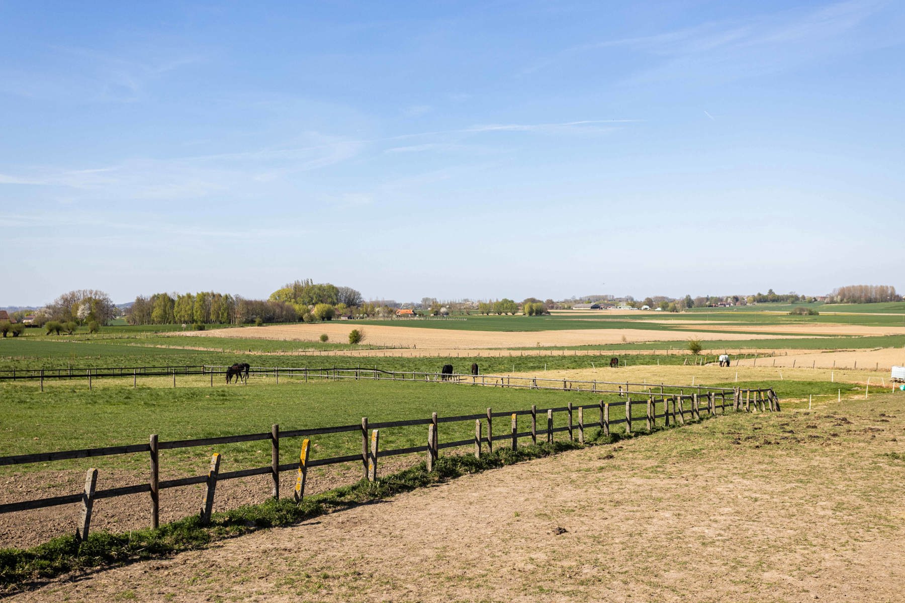 SECRET SALE – Paardenaccommodatie met gerenoveerde woning foto 2