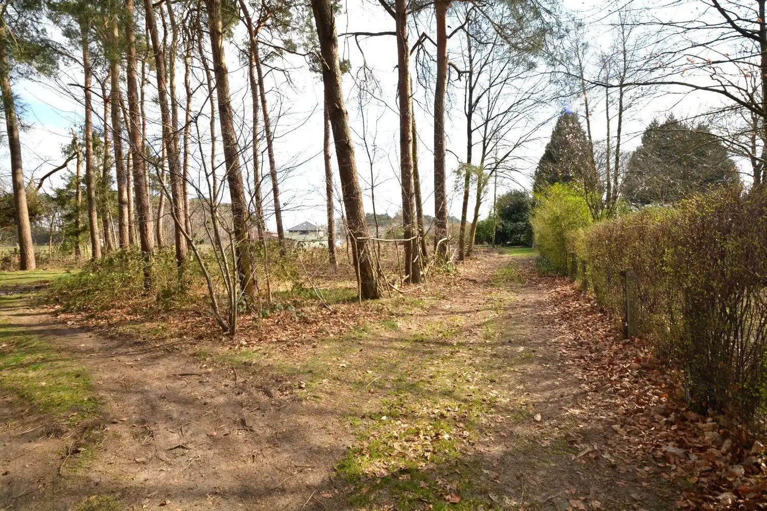 PERCEEL RECREATIEGROND VAN 1.610 m² foto 6