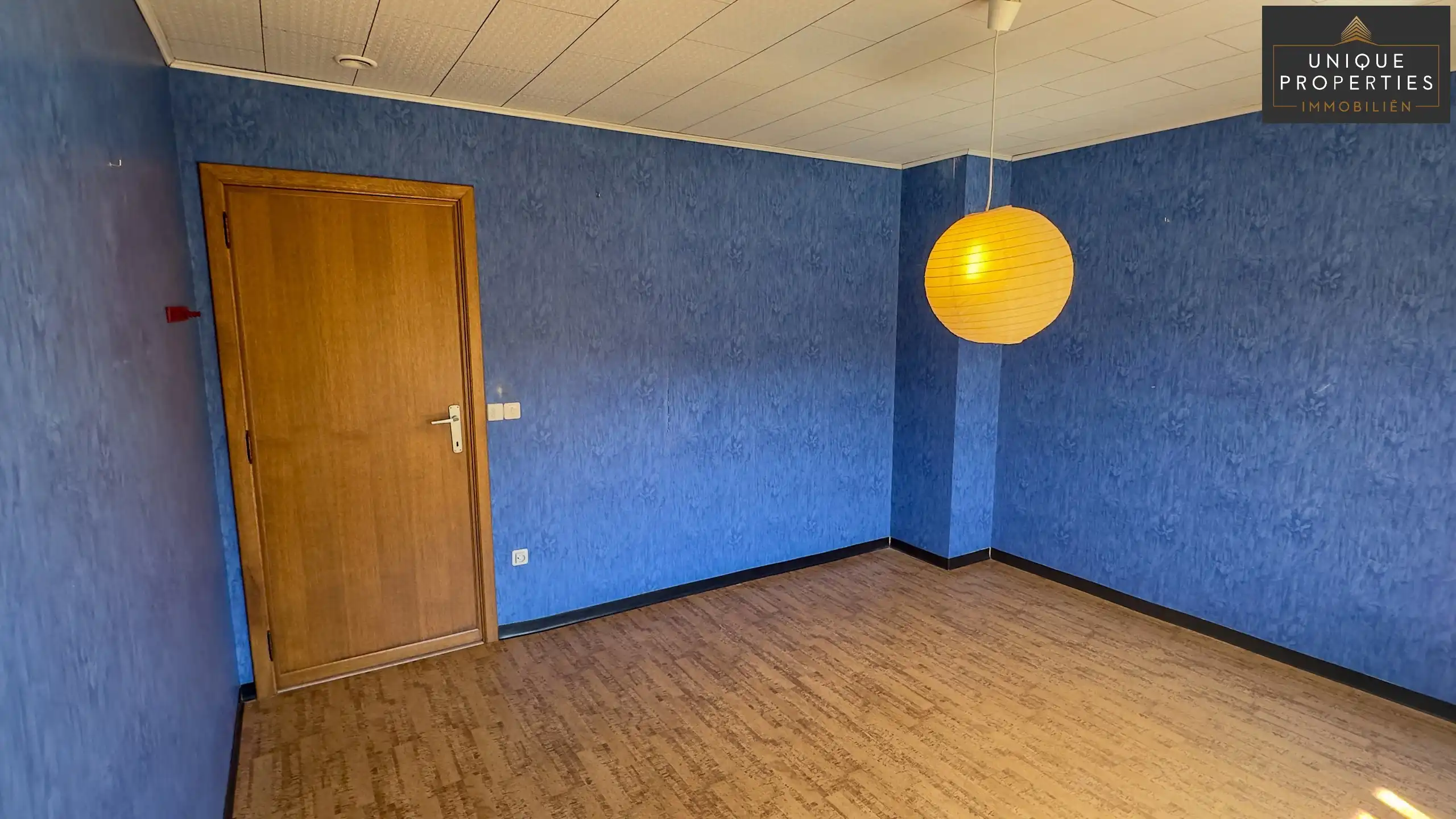 Huis te koop foto 20