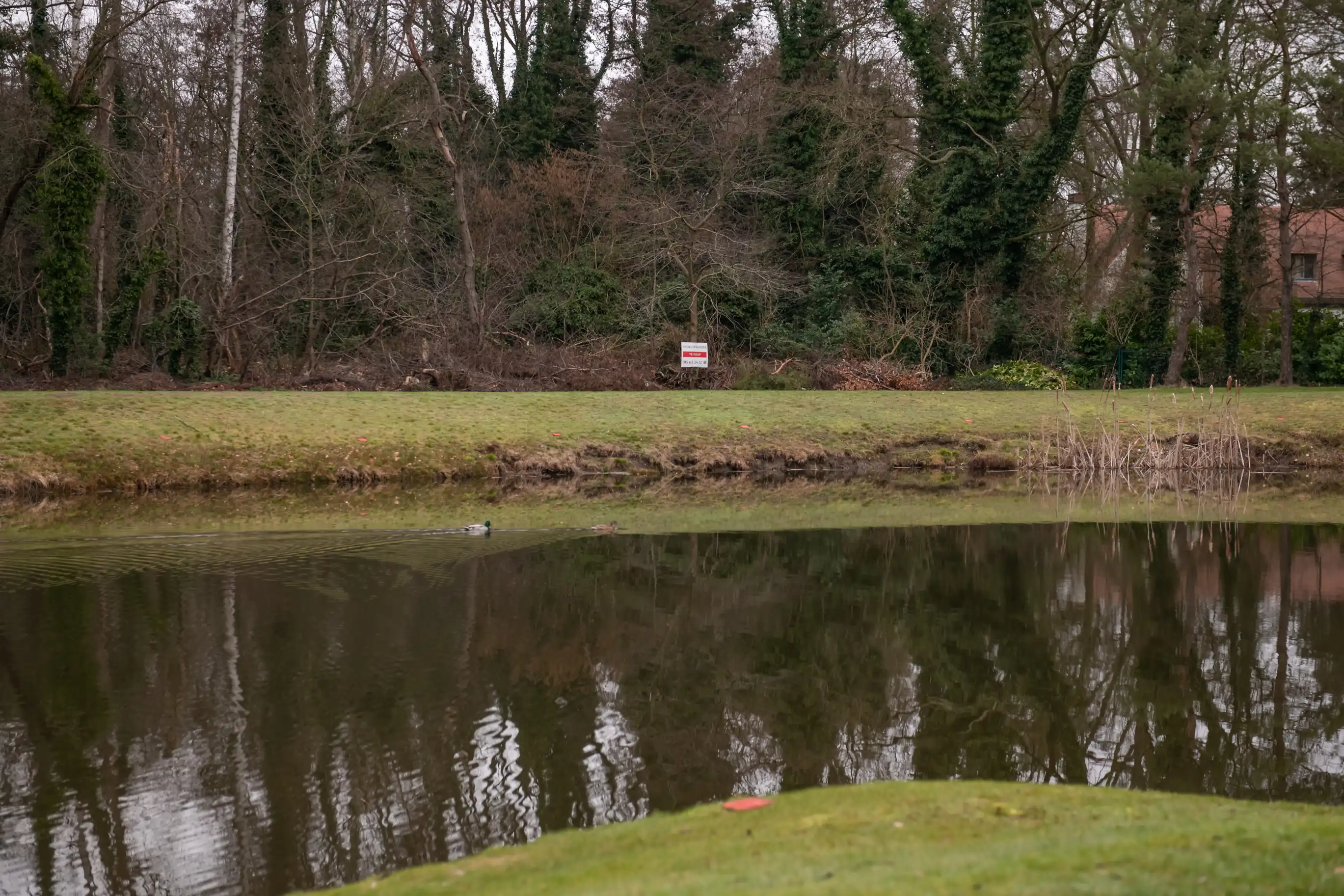 Exclusieve Bouwgrond met zicht op golf van Keerbergen foto 2