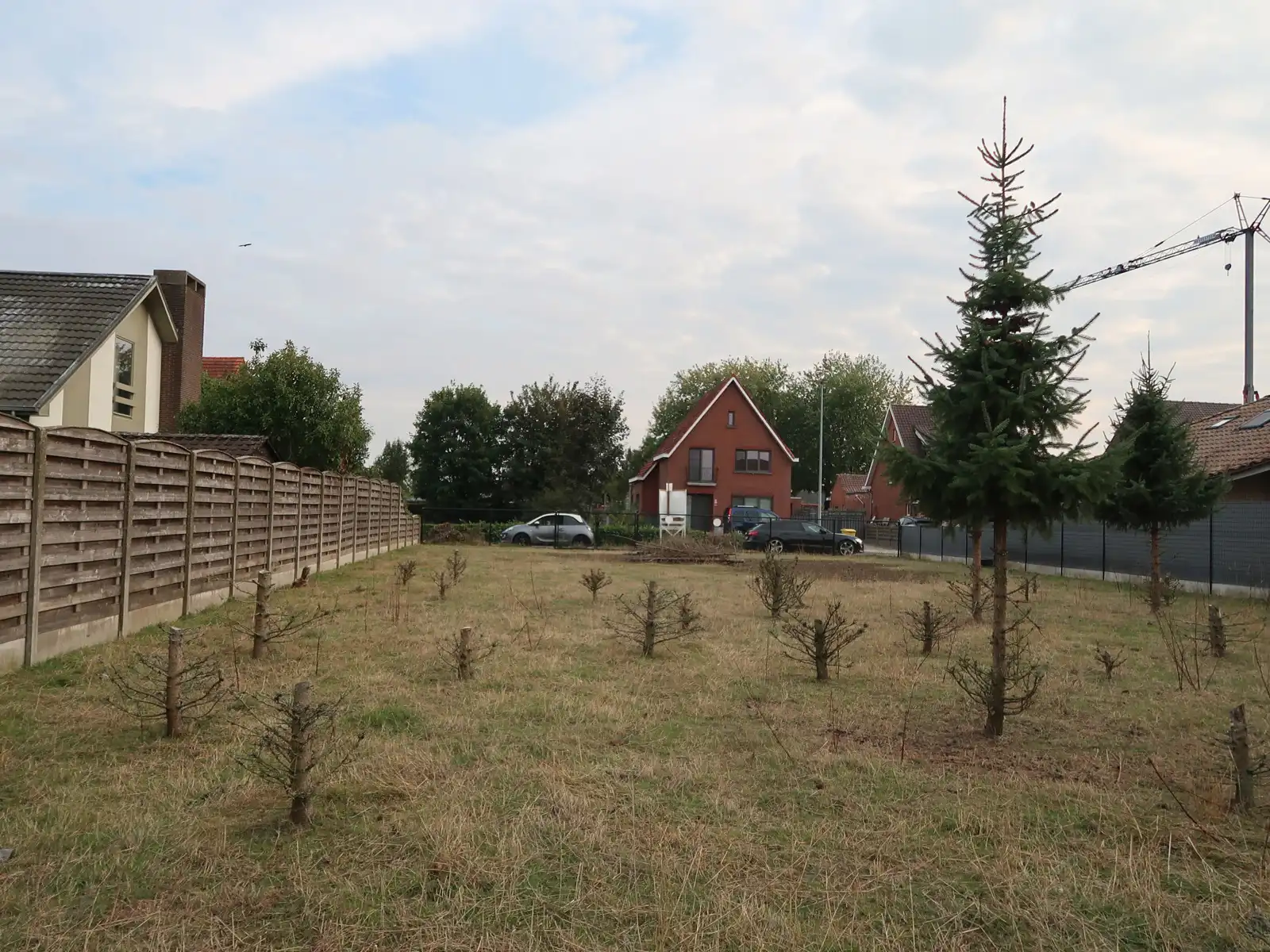 UNIEKE KANS - groot perceel 770m² open bebouwing te WESTERLO foto 4